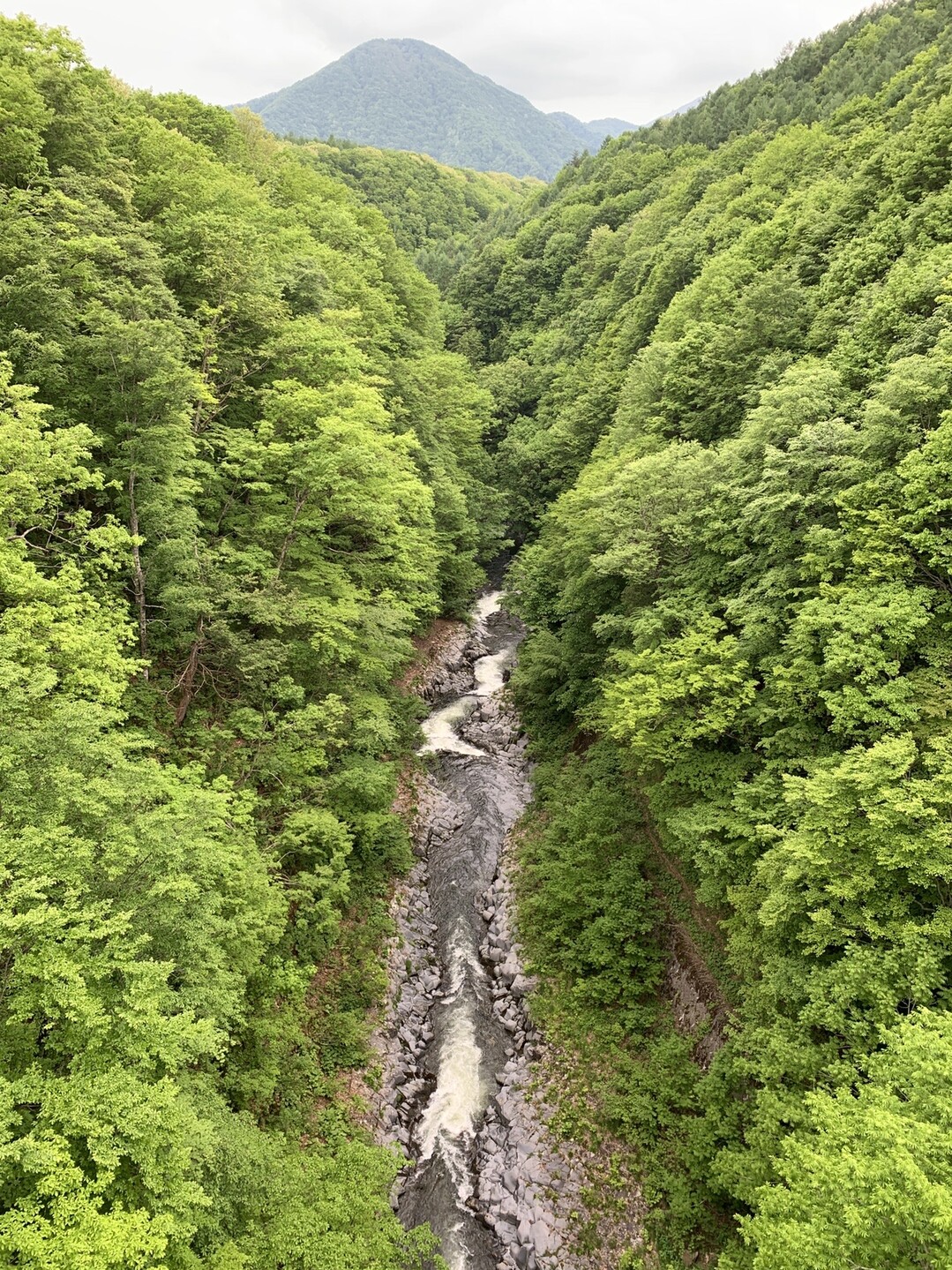 中津川渓谷散策 ぽちさんの吾妻山 一切経山の活動日記 Yamap ヤマップ