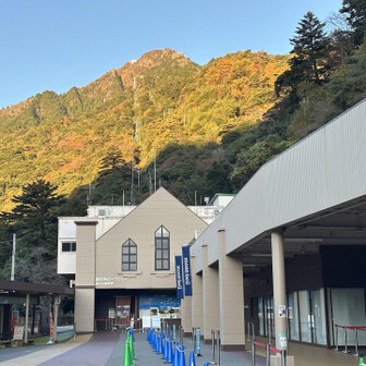 紅葉に色つき朝日で鮮やかに