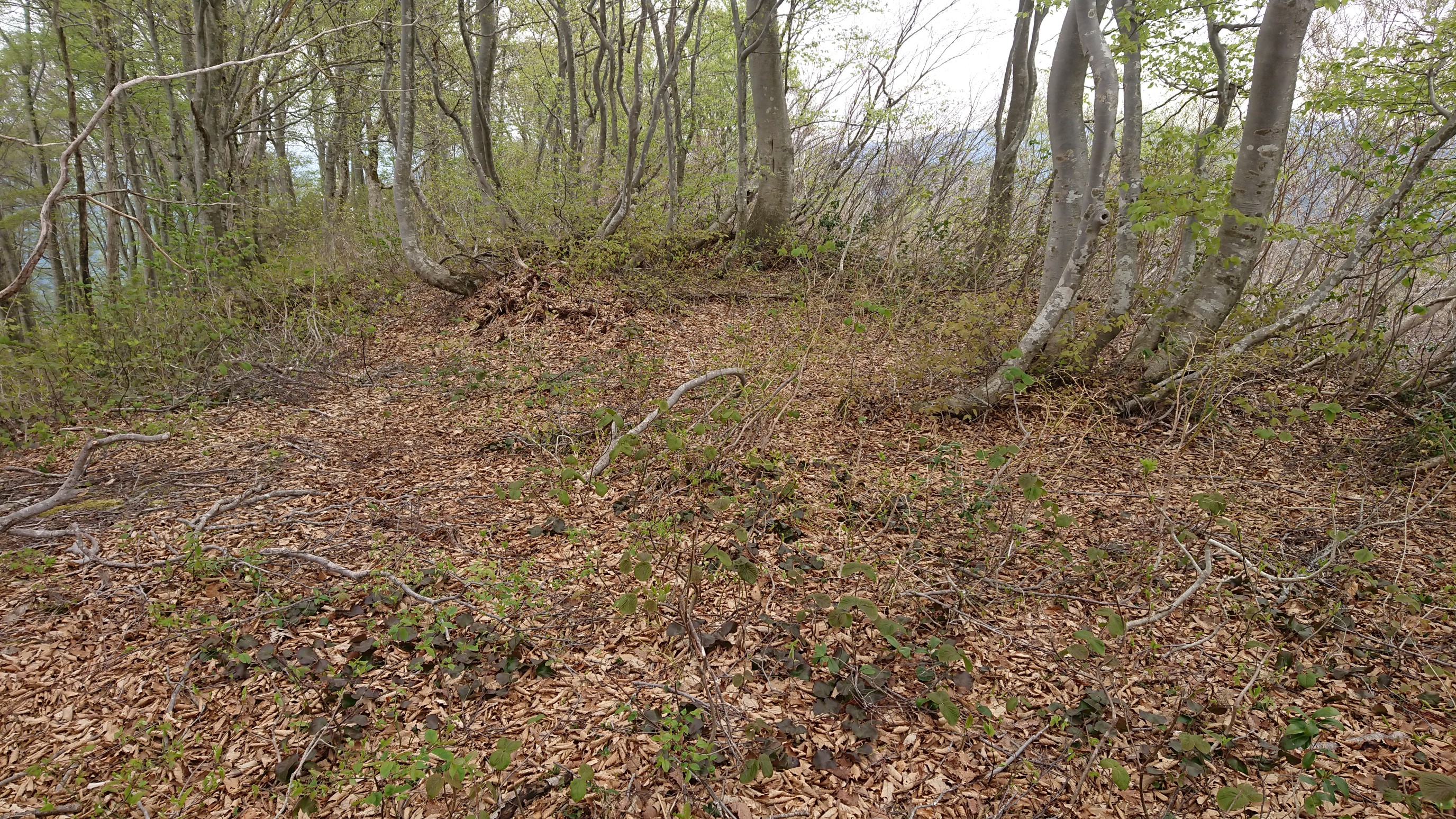 木六山・銀次郎山 P861テント張れます