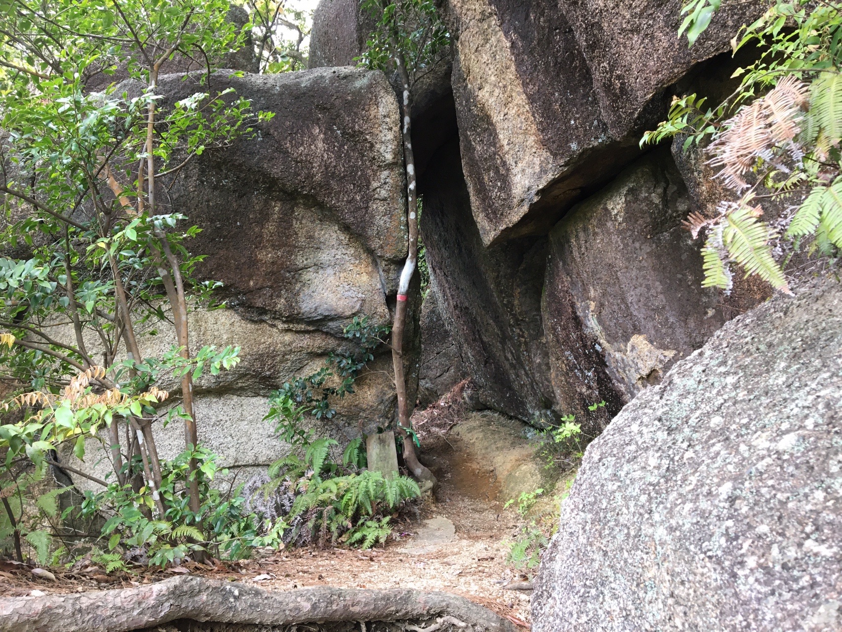 岩石山 岩石城 04 21 ひろさんの岩石山 岩石城 の活動データ Yamap ヤマップ