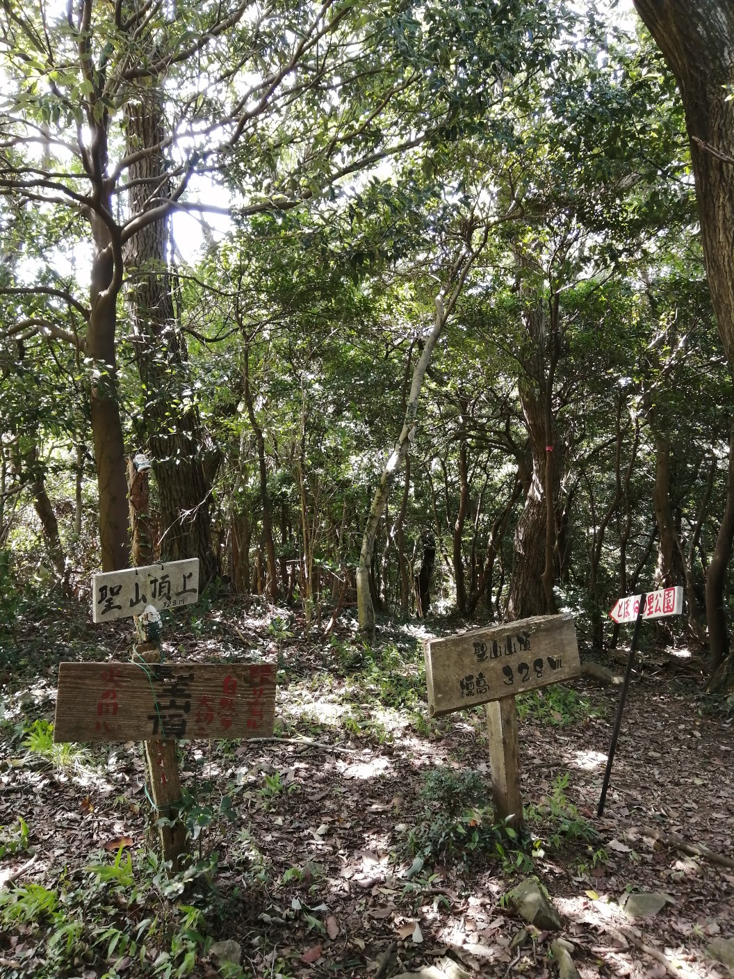 里山トレッキング、桑谷山・遠望峰山・聖山 / レオナ11さんの遠望峰山 