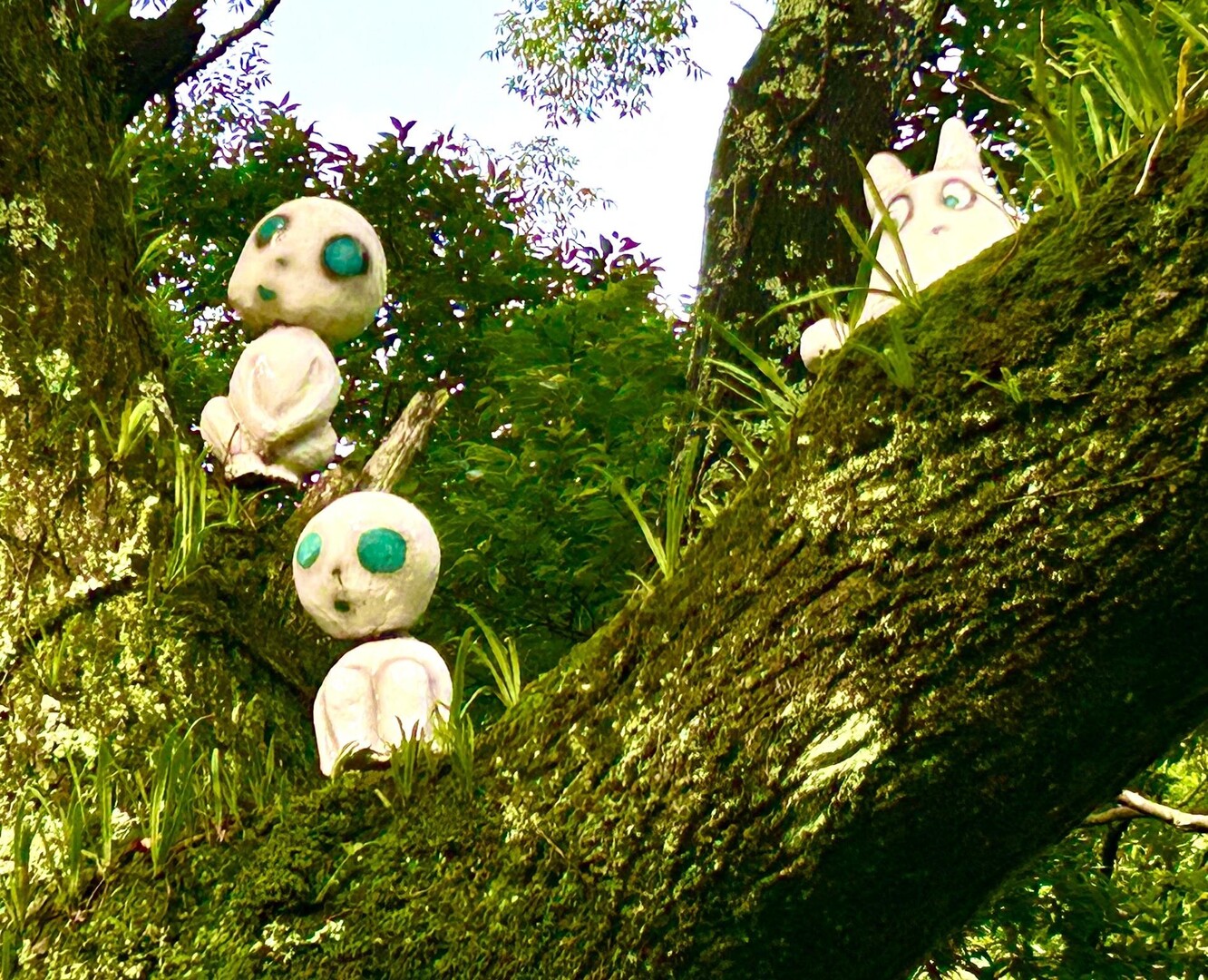 活動日記【大分県佐伯市宇目町轟（ととろ）... / 🎼🎣じゅん🥾🥩さんのモーメント YAMAP / ヤマップ