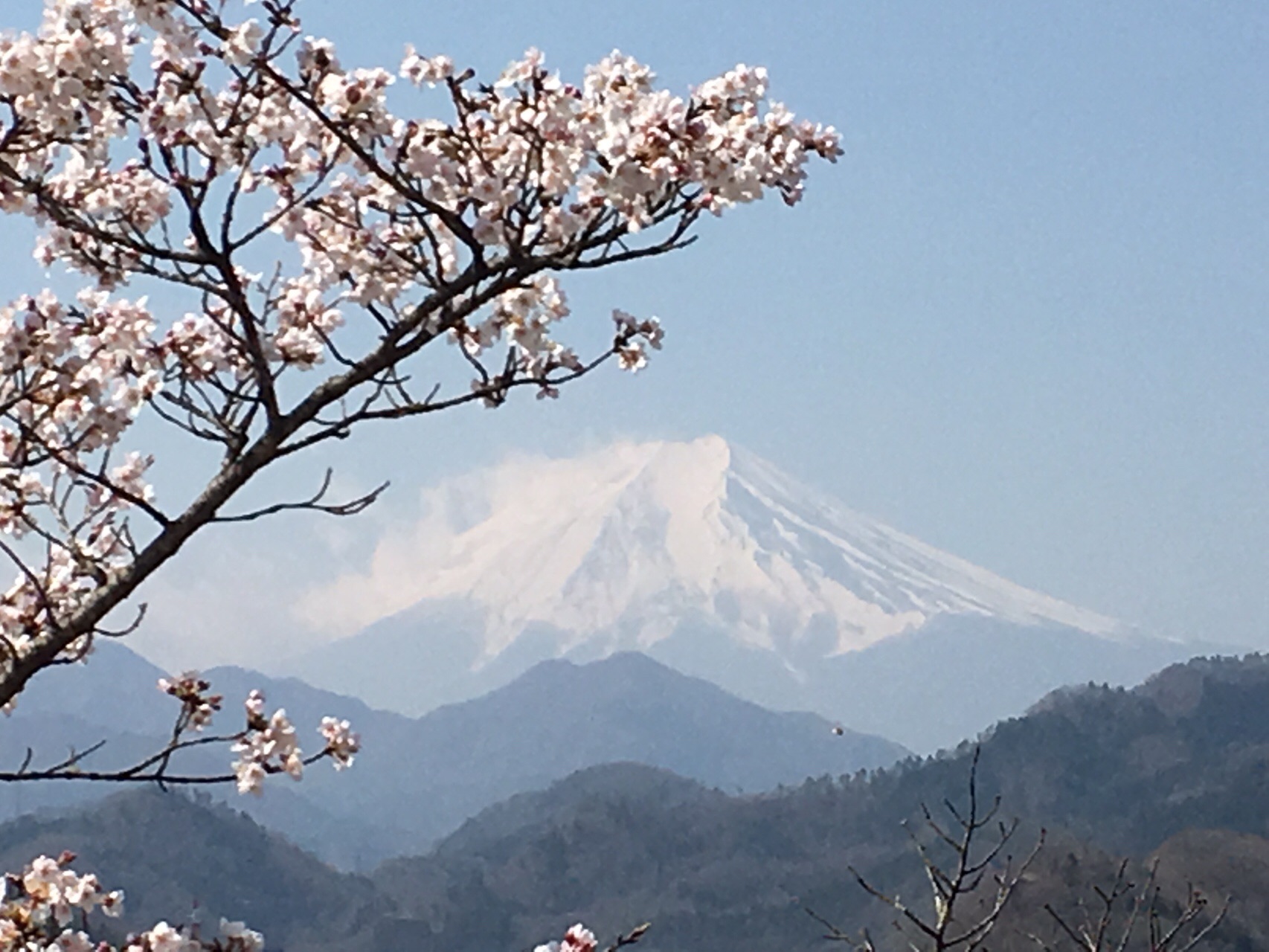 岩殿山 大月駅 丸山公園 岩殿山 稚児落とし 大月駅 とくさんの雁ヶ腹摺山 岩殿山の活動日記 Yamap ヤマップ
