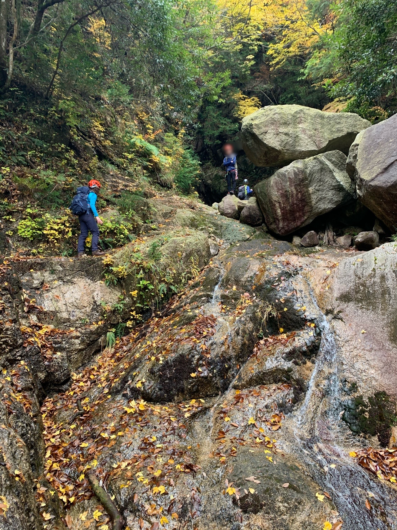 御在所岳 全集中 本谷ルート死闘編 みちのくあゆむさんの御在所岳 御在所山 雨乞岳の活動日記 Yamap ヤマップ