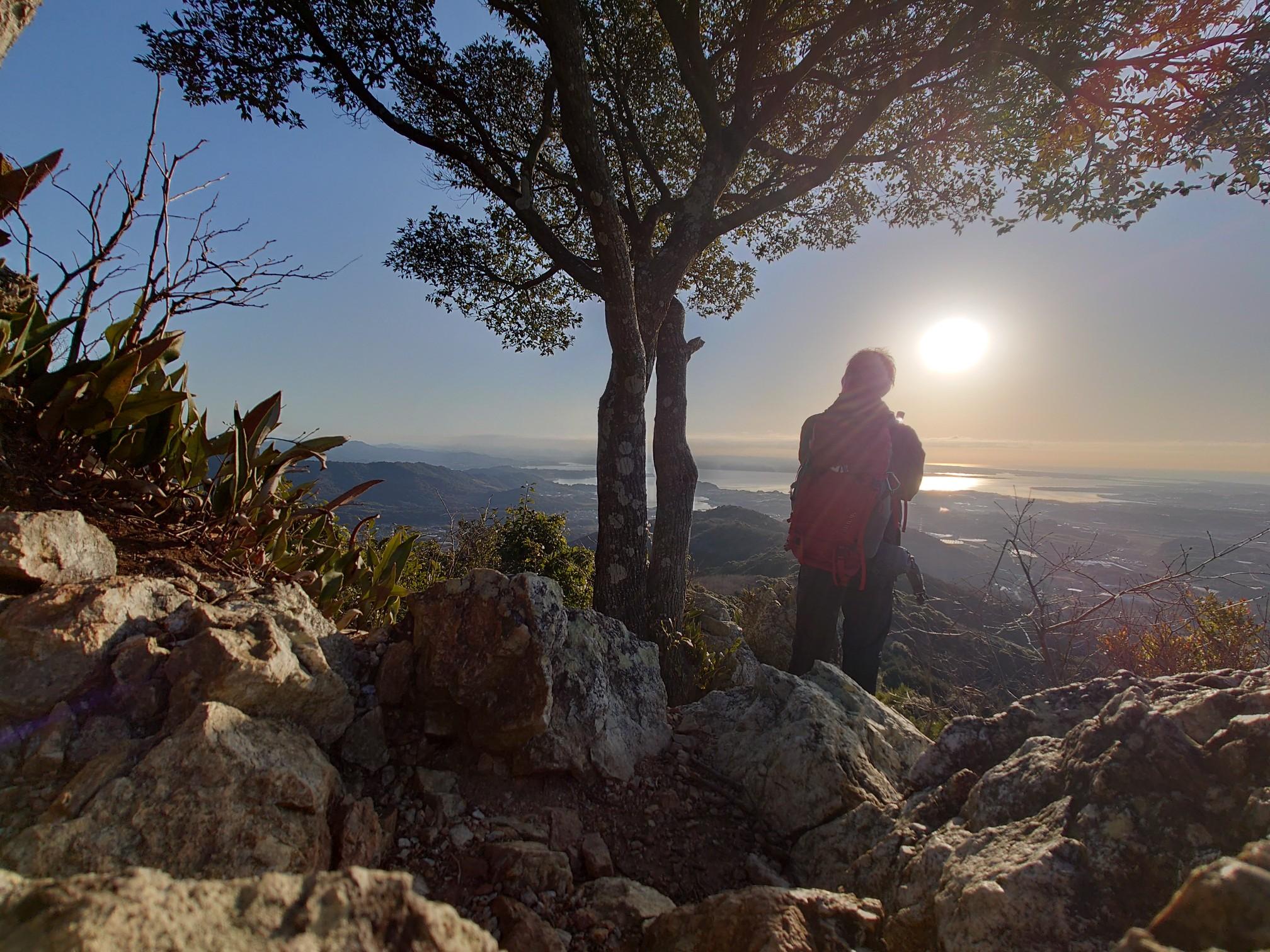 ビン・カシワ/湿原パラダイス