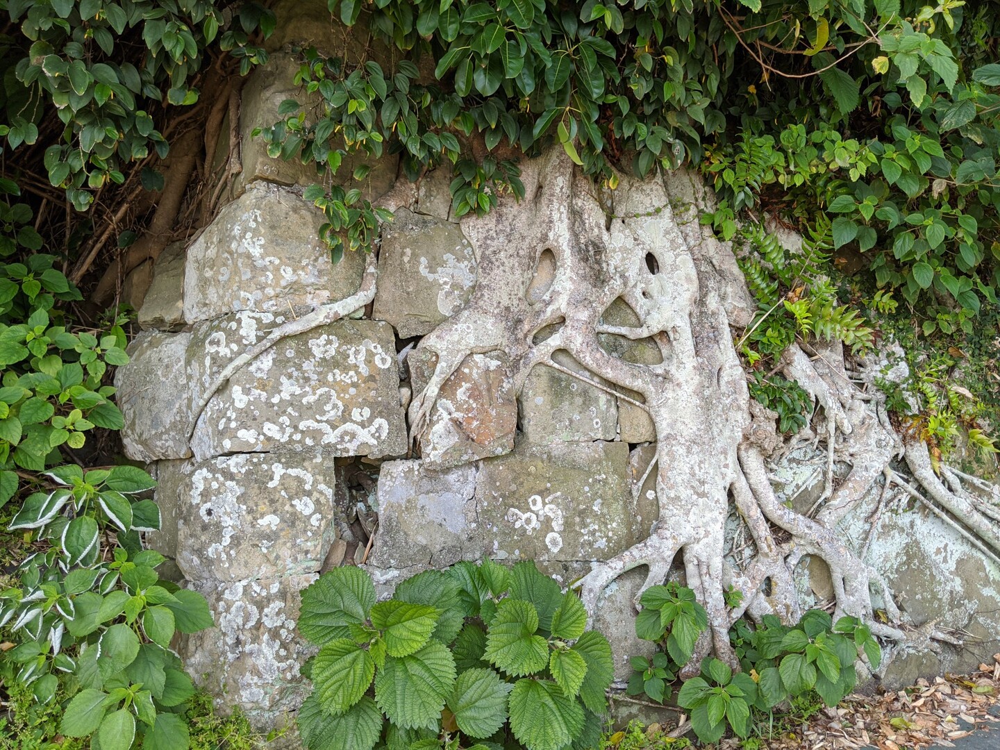佐賀藩深堀領伊王島 ガバロス島 雨林さんの遠見岳 城山の活動日記 Yamap ヤマップ