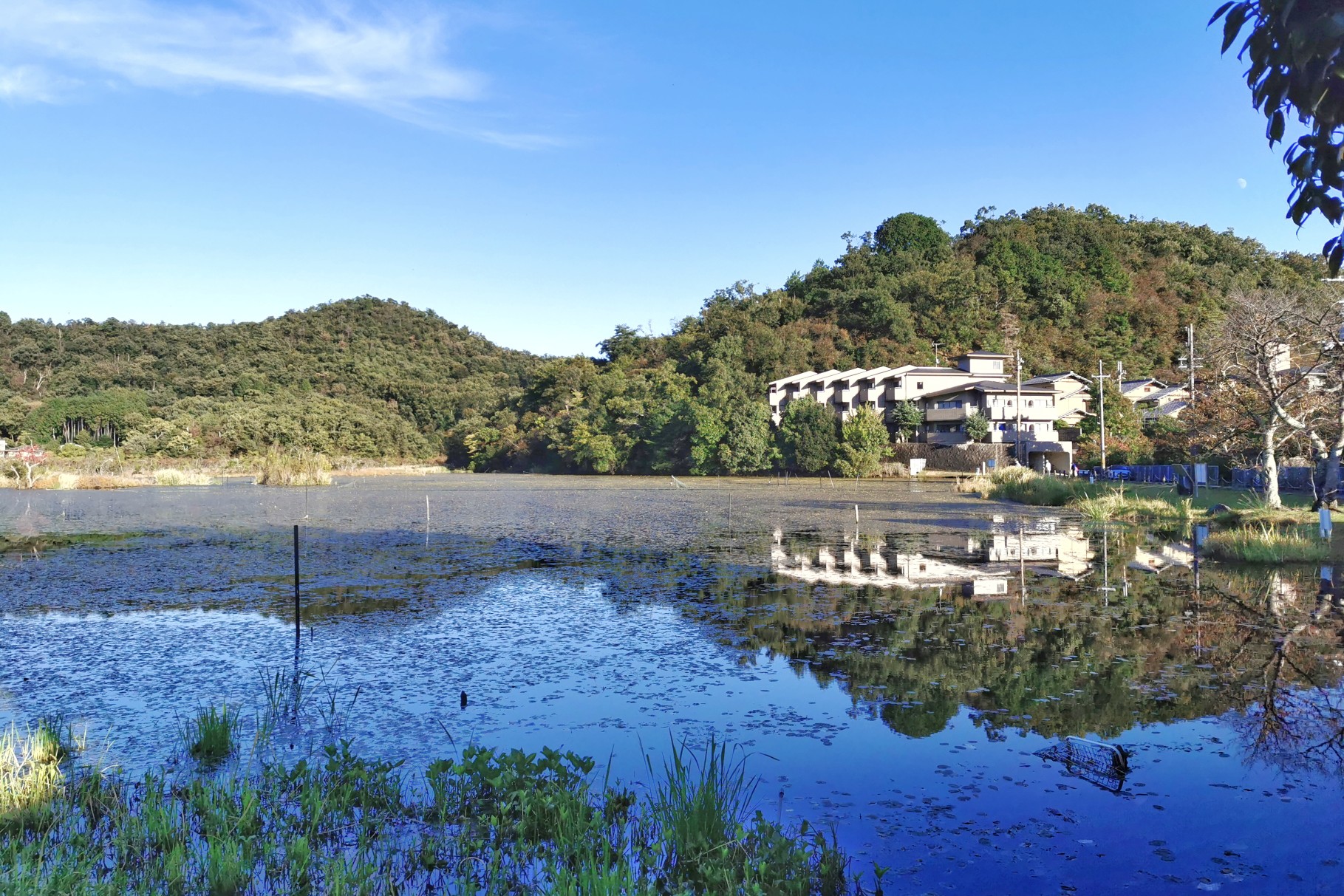 京都 大田の小径と深泥池を散策 / ylogさんの京都一周トレイルの活動 