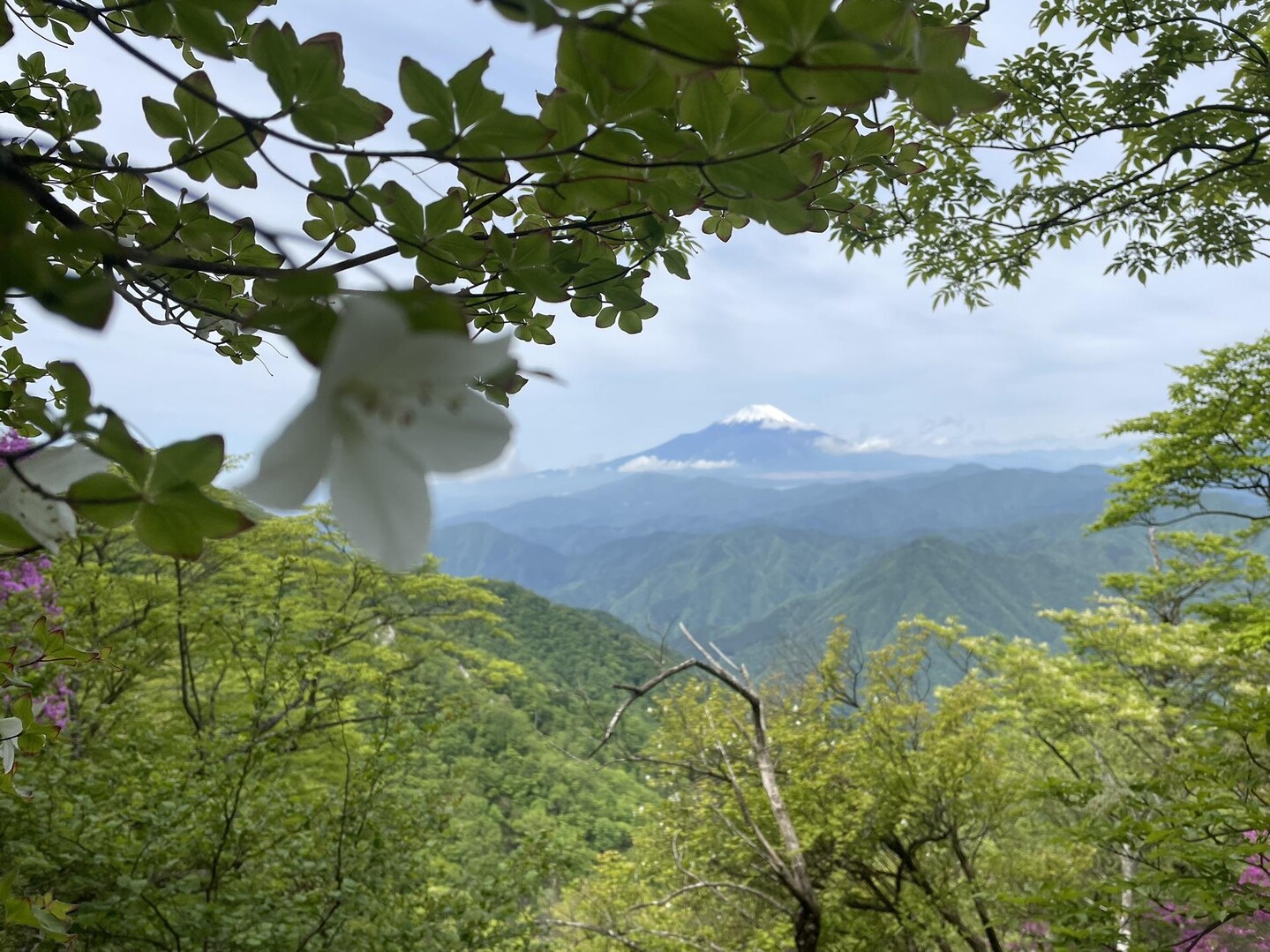檜洞丸・熊笹ノ峰・大笄・小笄 / ichao( ｰ̀дｰ́)وさんの丹沢山の活動データ YAMAP / ヤマップ