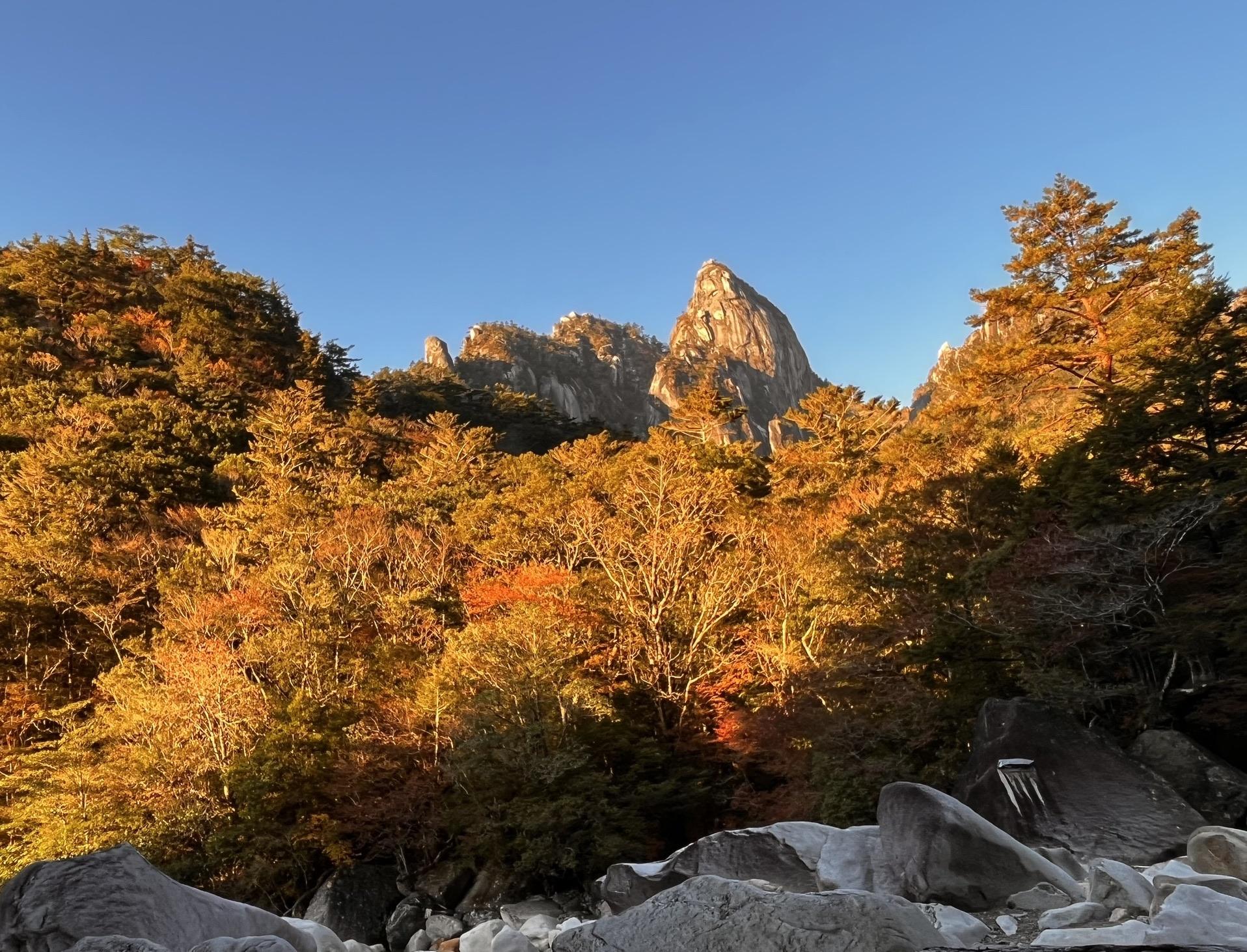 大崩山 / たけぞーさんの大崩山・五葉岳・新百姓山の活動データ YAMAP / ヤマップ