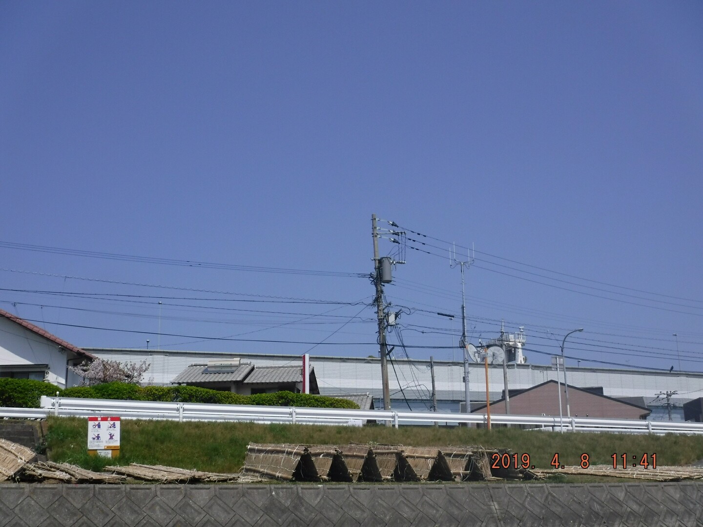爺さん久々に室見川のお花見 へ 19 04 08 ちゅうさんさんの 公式 福岡市 防災情報含む の活動日記 Yamap ヤマップ