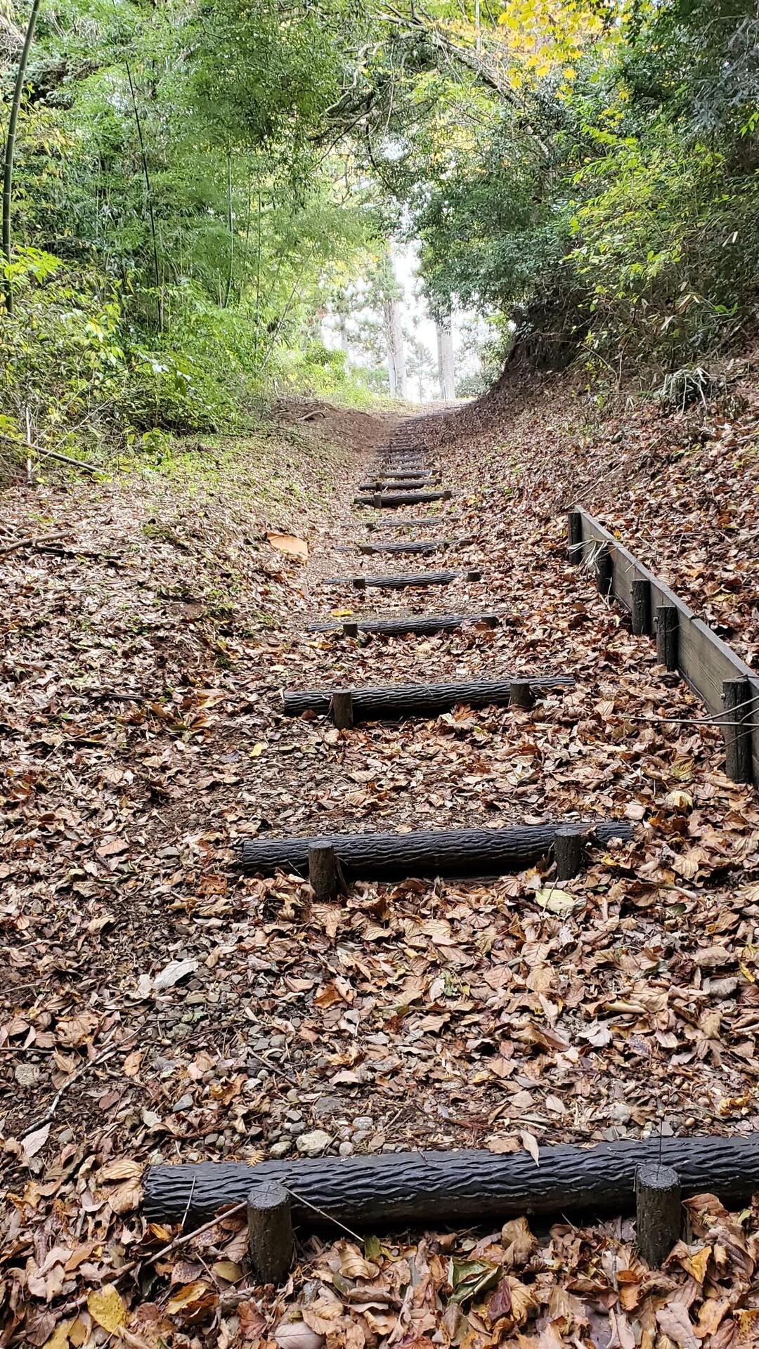 高舘山 / Nagayamaさんの高舘山の活動データ YAMAP / ヤマップ