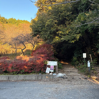 今日は下の神社のトイレの横からスタートです。登山道に入る前にもうここでへばってます。