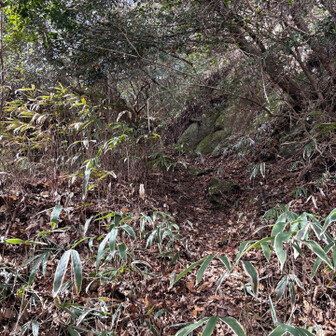 六甲山・長峰山・摩耶山 だんだんエグくなる