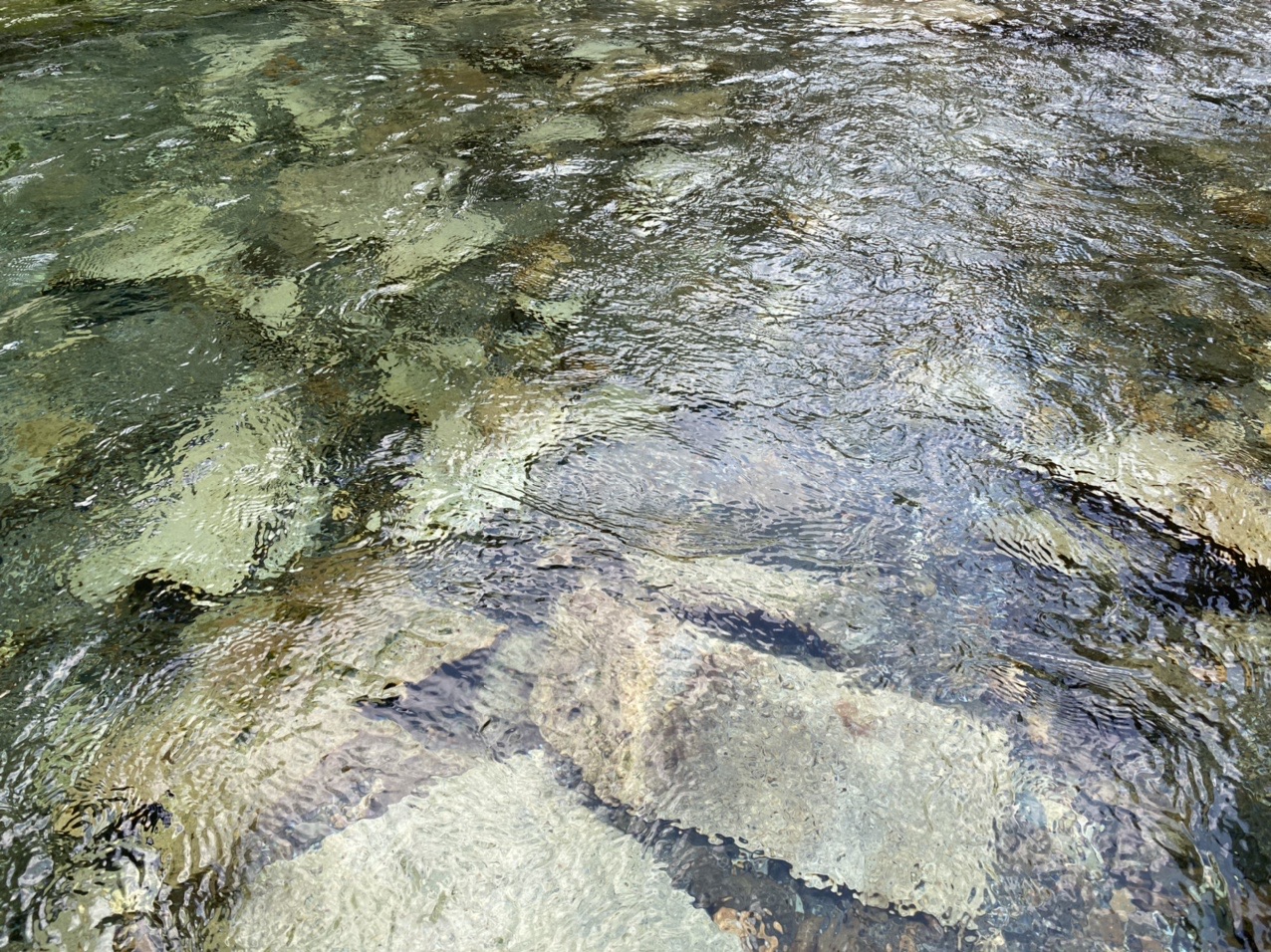 面河渓 おもごけい 愛媛県 で川遊び ひさしさんのモーメント Yamap ヤマップ