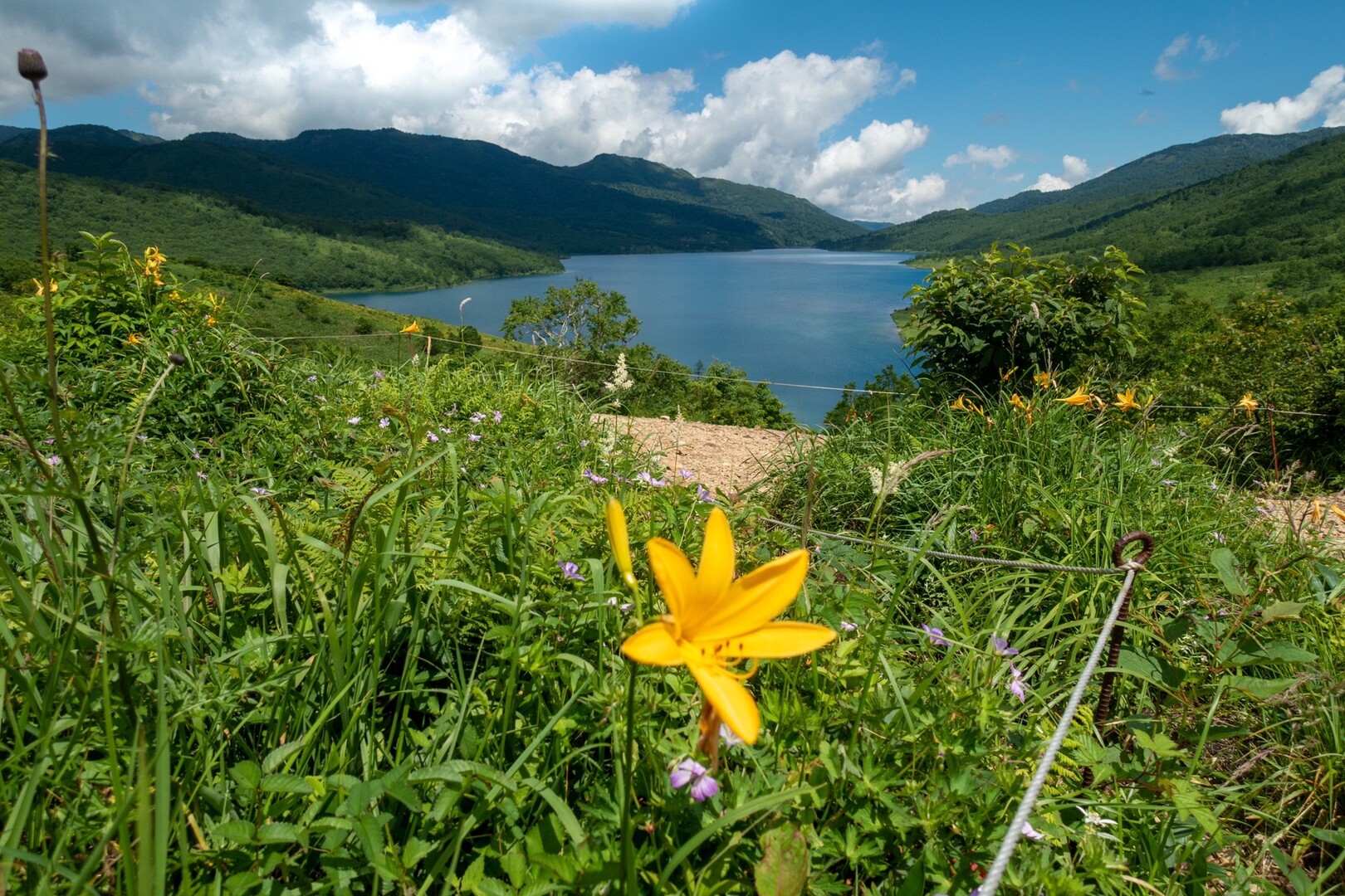 野反湖と八ッ場ダムドライブ Hamさんの高沢山 エビ山 大高山の活動日記 Yamap ヤマップ