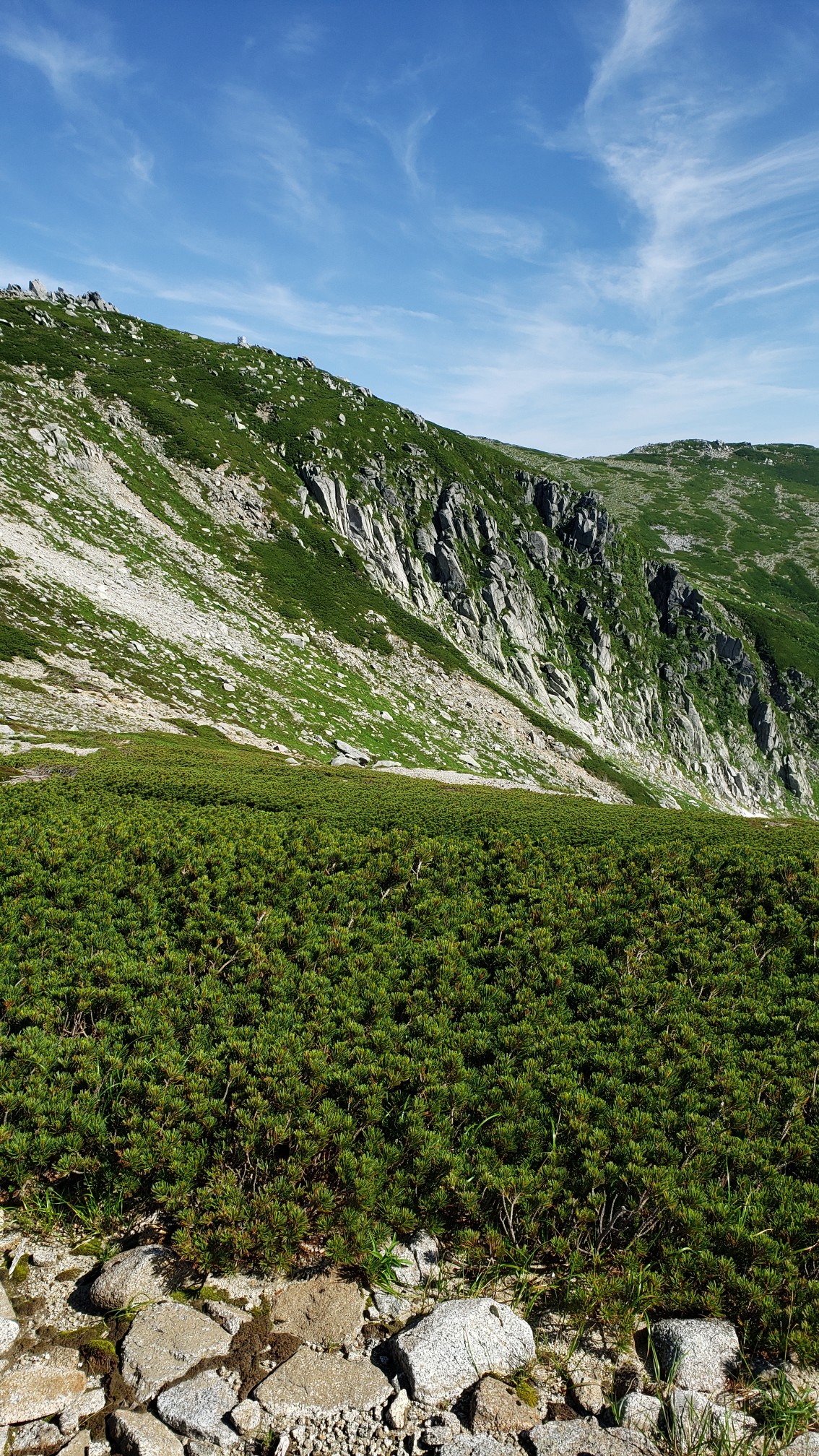 中岳 木曽駒ヶ岳 宝剣岳で雷鳥 ホシガラス イワヒバリ メボソムシクイにめっちゃ遭遇 ビビさんの木曽駒ヶ岳 空木岳 越百山の活動日記 Yamap ヤマップ