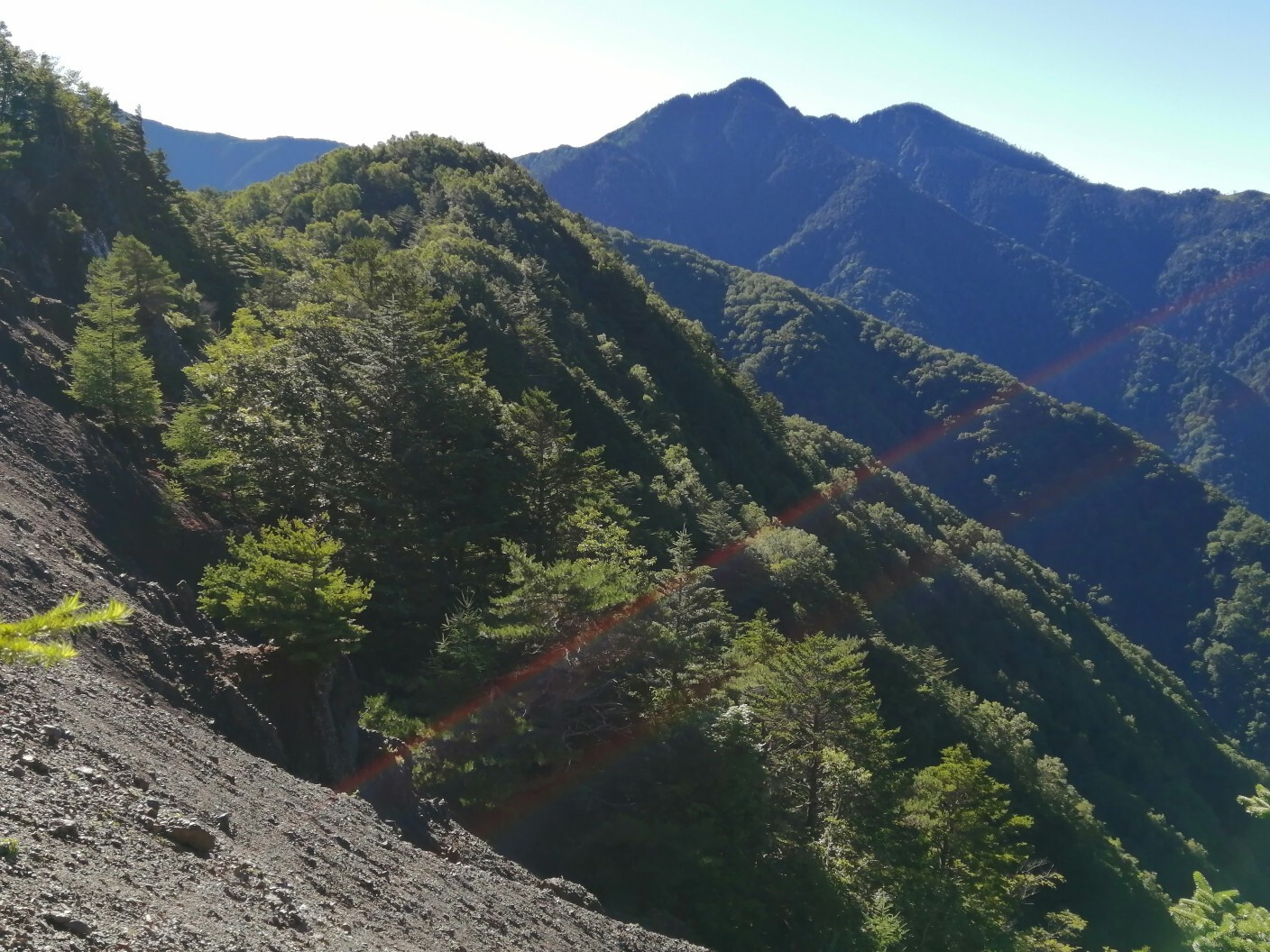 池口岳・池口岳南峰・利検沢ノ頭・黒薙 / ロイドさんの池口岳・加加森山・光岳の活動データ YAMAP / ヤマップ