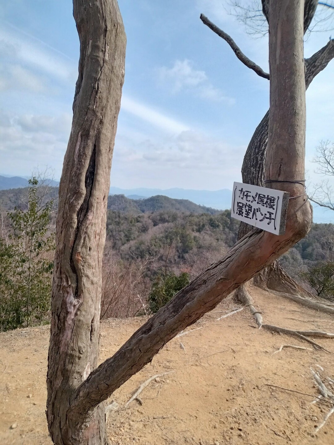 沓掛山 / yuusenさんの沓掛山・みすぎ山・唐櫃越の活動データ YAMAP / ヤマップ