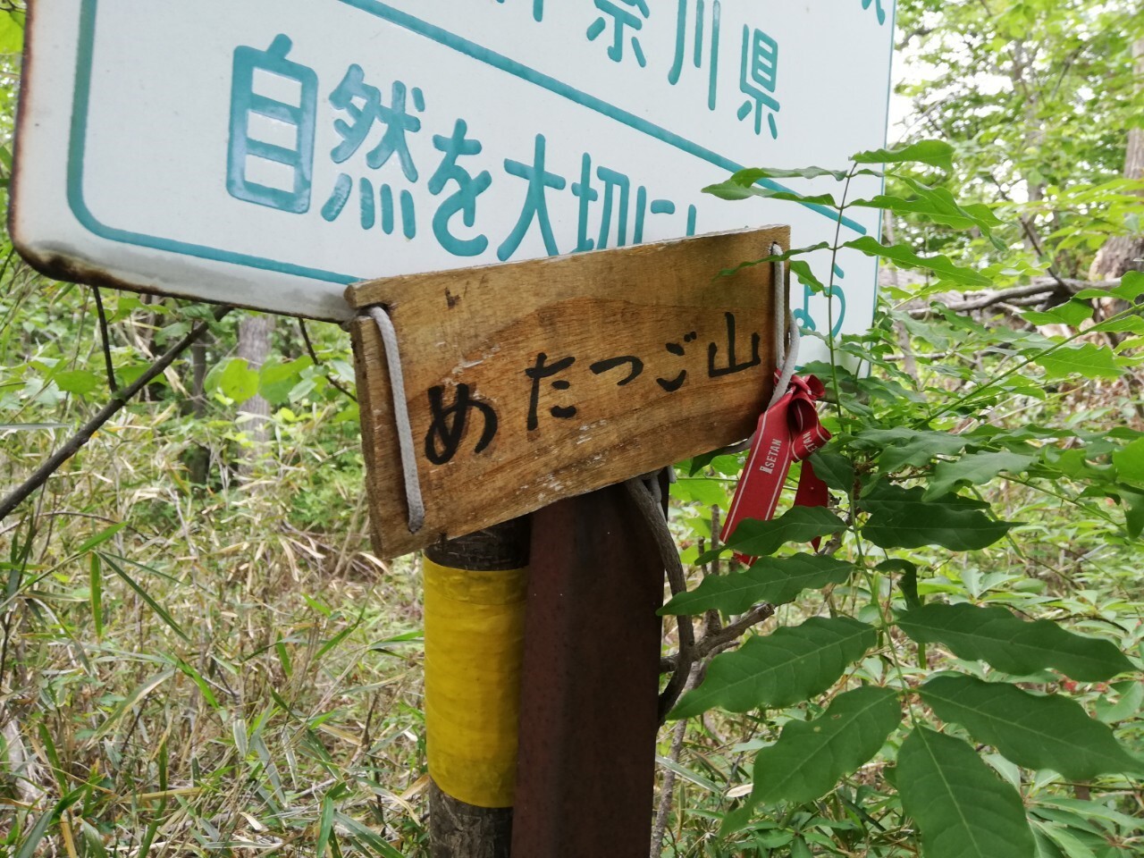 地図に新たなピーク発見 雌龍籠山 牡龍籠山 のりのり さんの高尾山 陣馬山 景信山の活動日記 Yamap ヤマップ