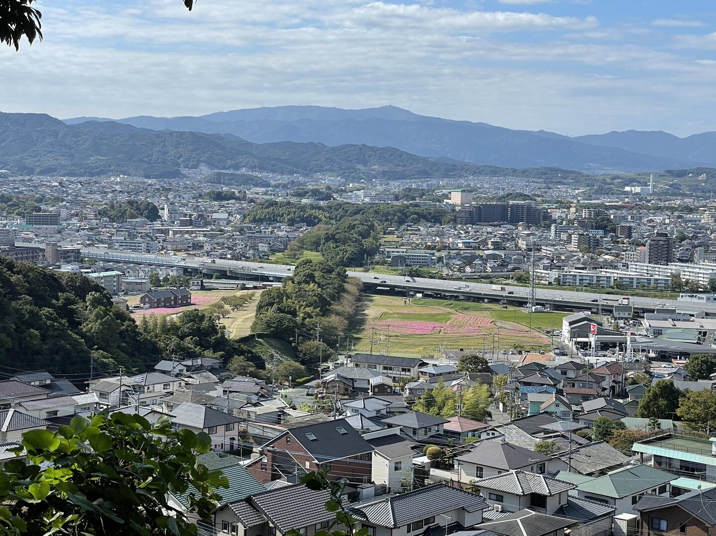 さんま御殿 バイト