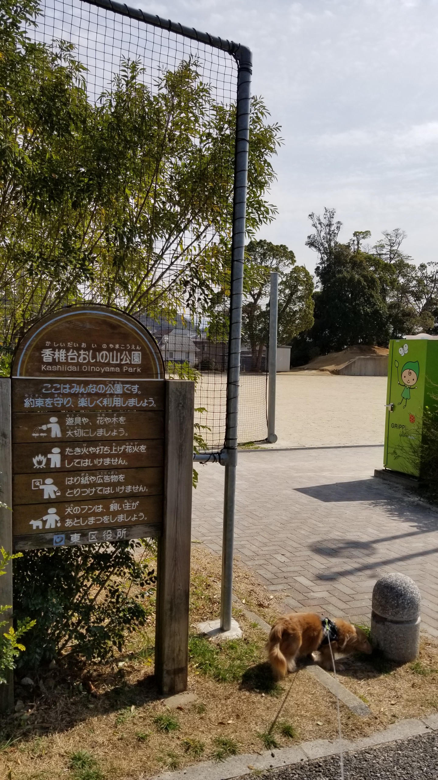 香椎から青葉まで散歩 てるさんの 公式 福岡市 防災情報含む の活動日記 Yamap ヤマップ