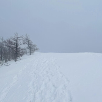 蘇武岳 頂上に近づくにつれてガスが…🤣