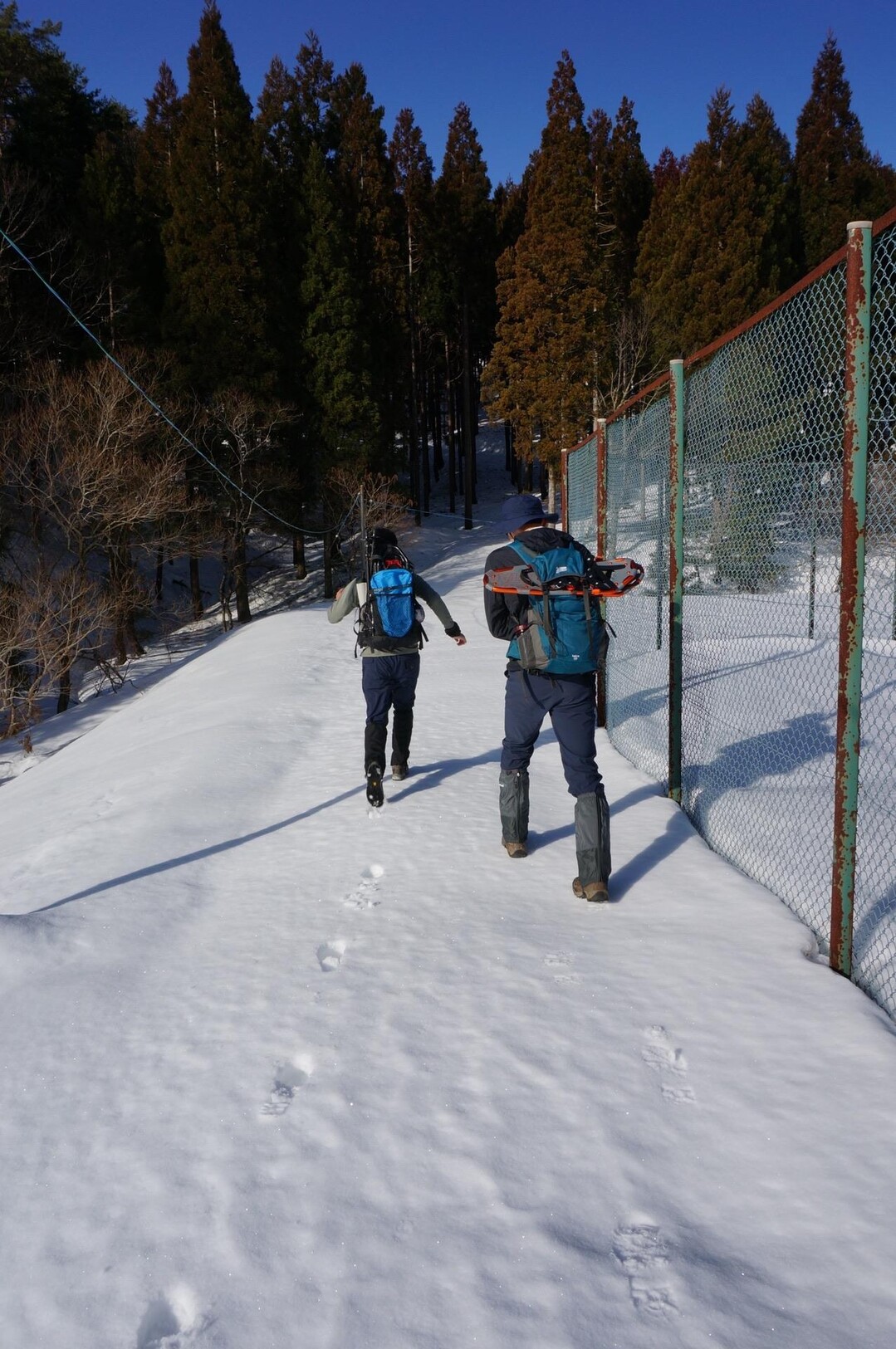 ダルガ峰 / 沖ノ山・若杉原生林（若杉天然林）の写真1枚目 / テニスコート横から入山 YAMAP / ヤマップ