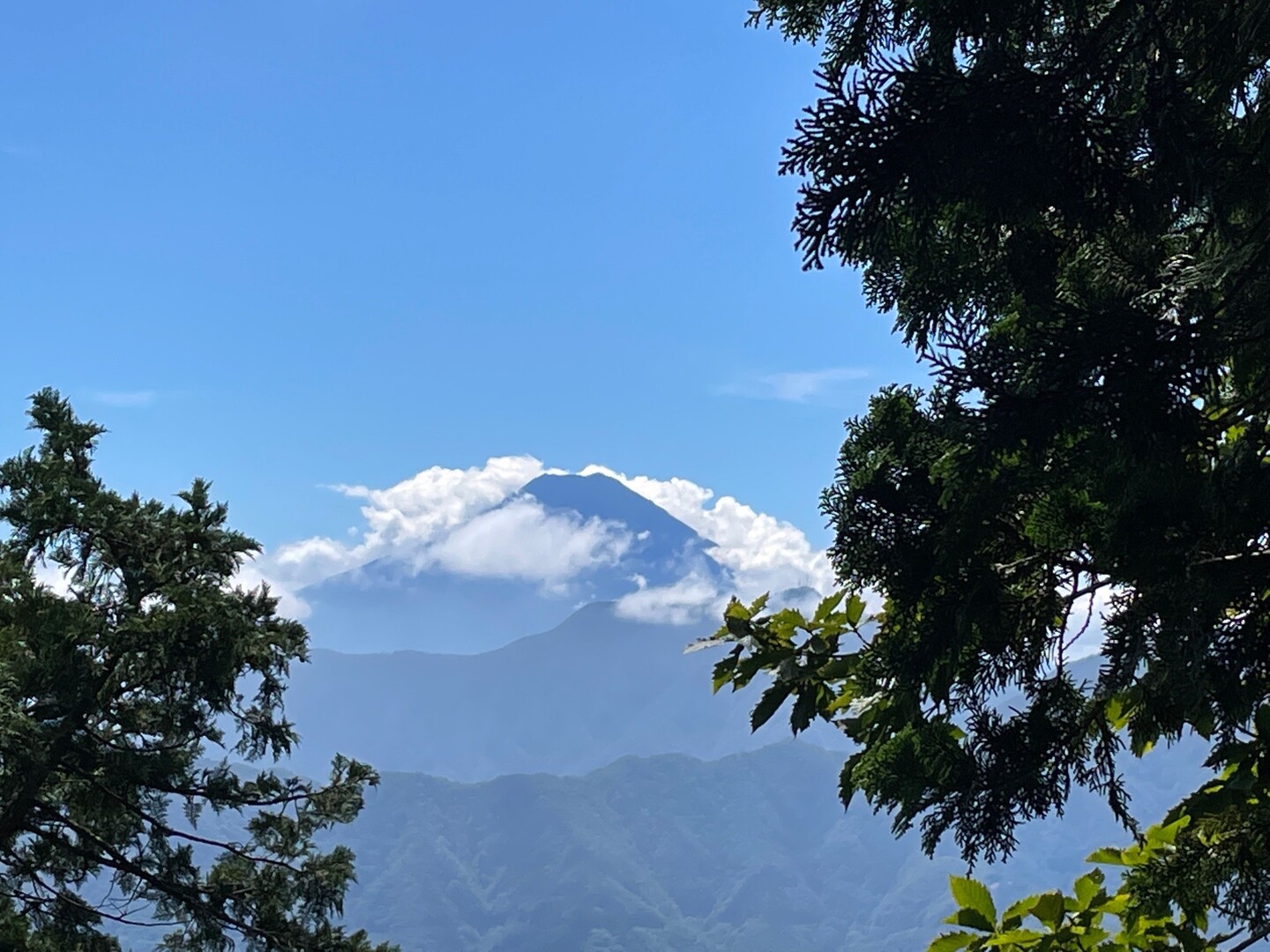 滝子山・寂しょう尾根へ！ / YUMEさんの滝子山・大谷ヶ丸・笹子雁ヶ腹摺山の活動データ YAMAP / ヤマップ