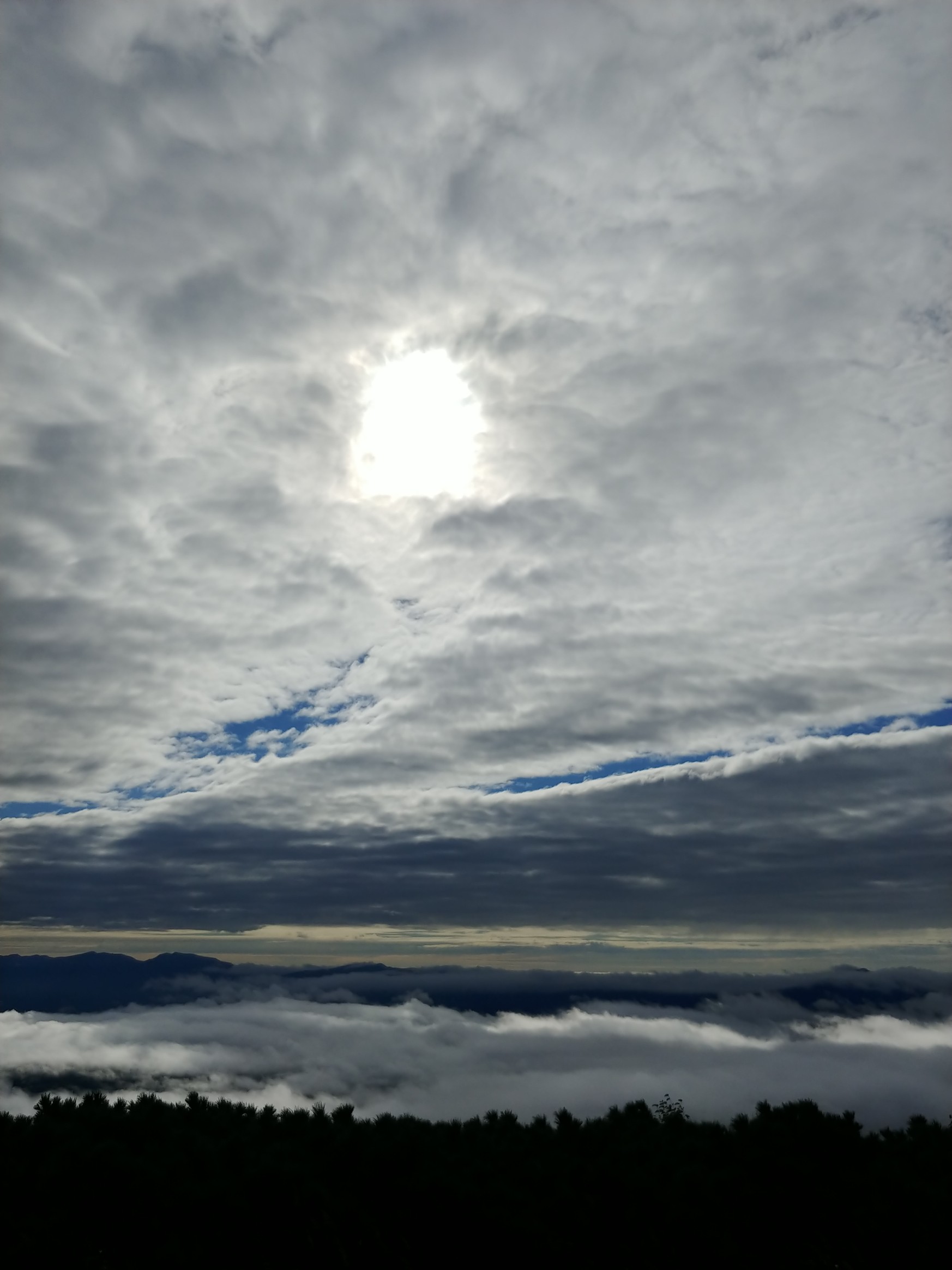 藻琴山 雲海行 09 06 かなけんさんの藻琴山 硫黄山 屈斜路湖 摩周湖の活動データ Yamap ヤマップ