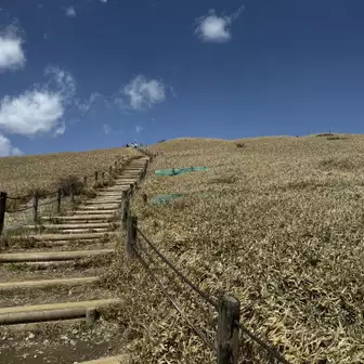 駒ヶ岳Blue💙
気持ちいい散策🐾