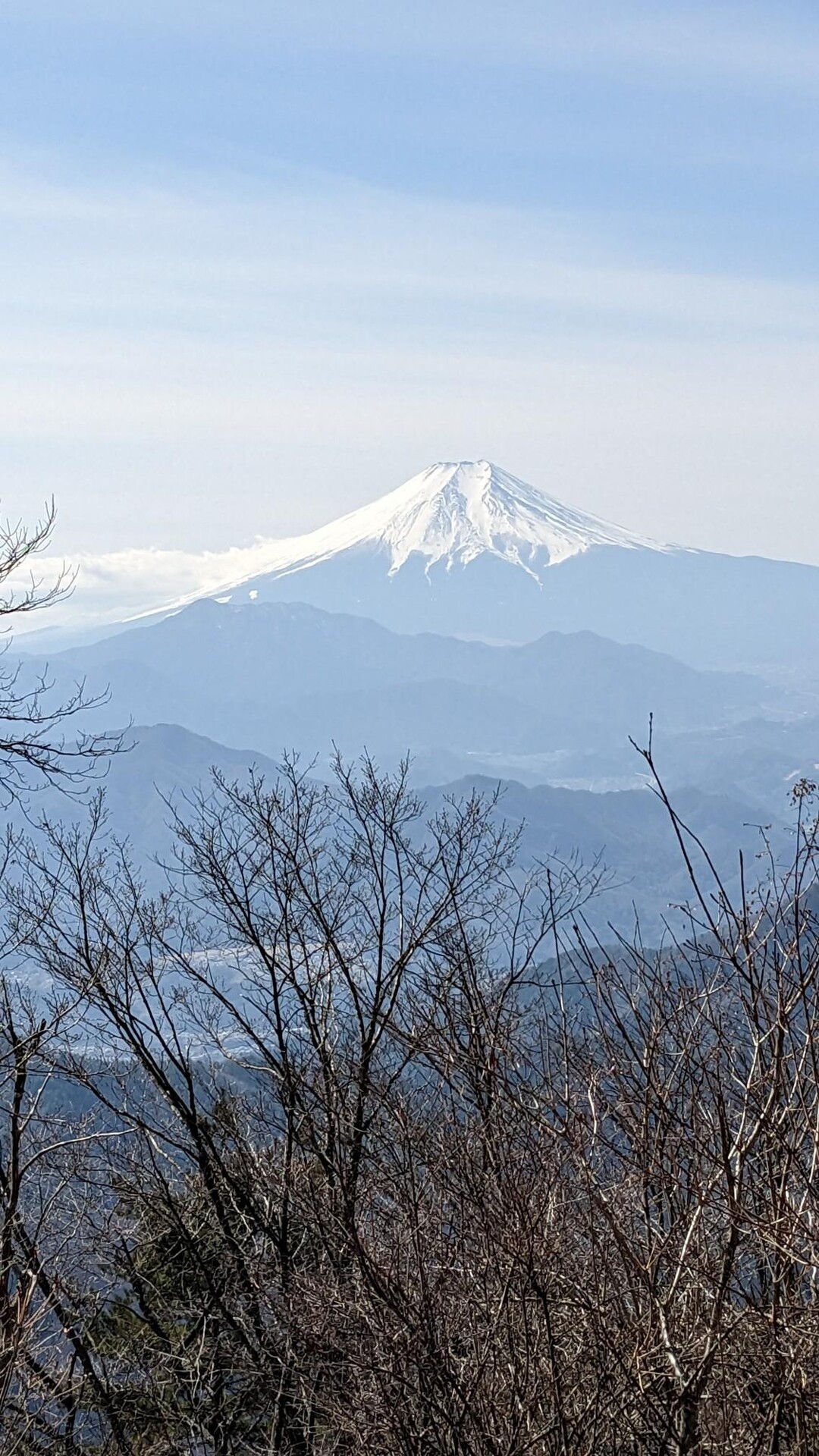 百蔵山・扇山・権現山・不老山 / ヘイゾーさんの百蔵山・扇山・権現山の活動データ | YAMAP / ヤマップ