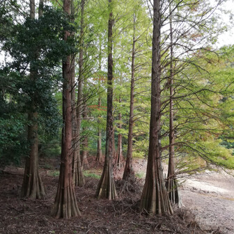 さんちゃん０３