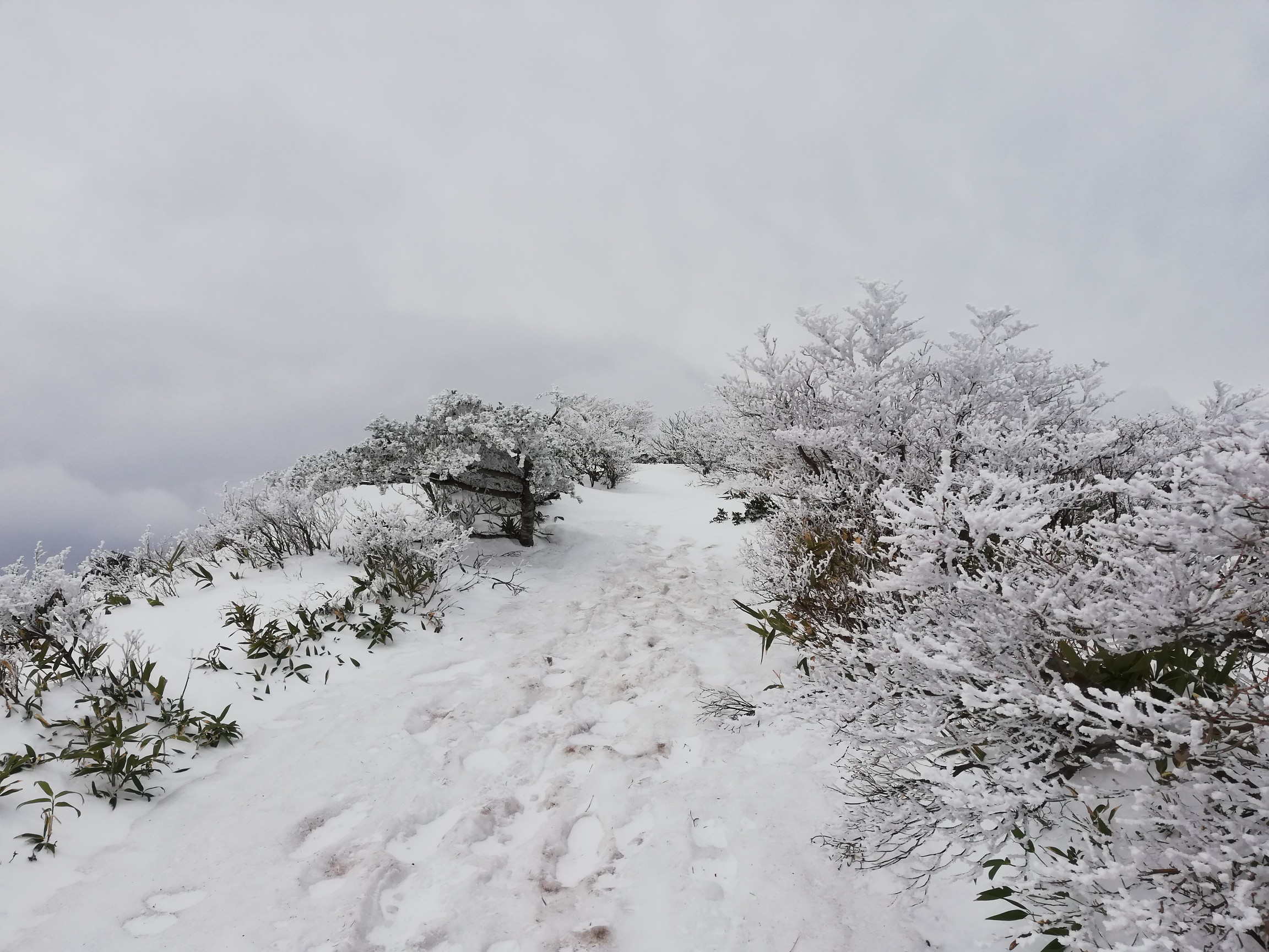 稜線に出た〜この手前からアイスバーン