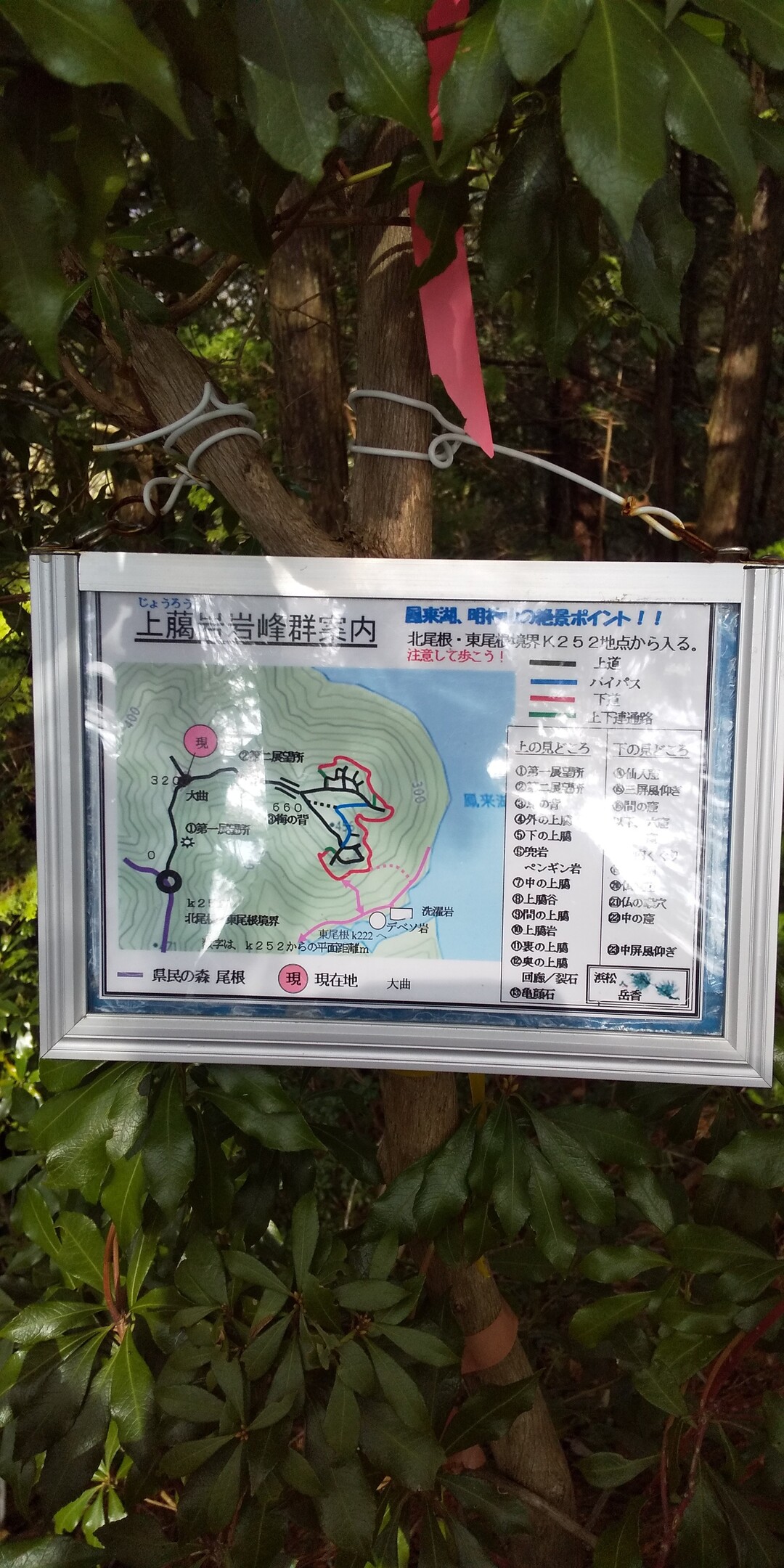 じょうろういわ 上﨟岩 廻り ふみささんの鞍掛山 愛知県 鳳来寺山 岩古谷山の活動日記 Yamap ヤマップ