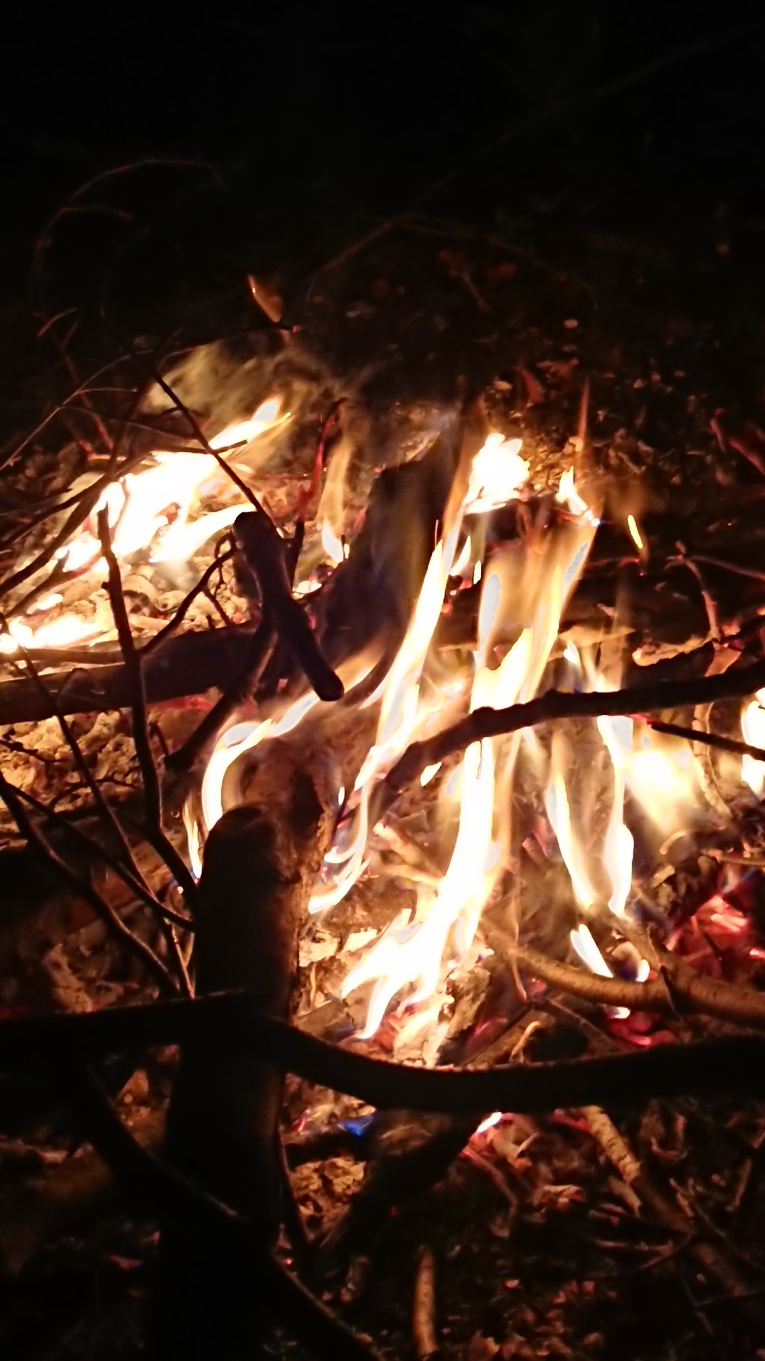 木六山・銀次郎山 暖かい😄
今日は暑い😅