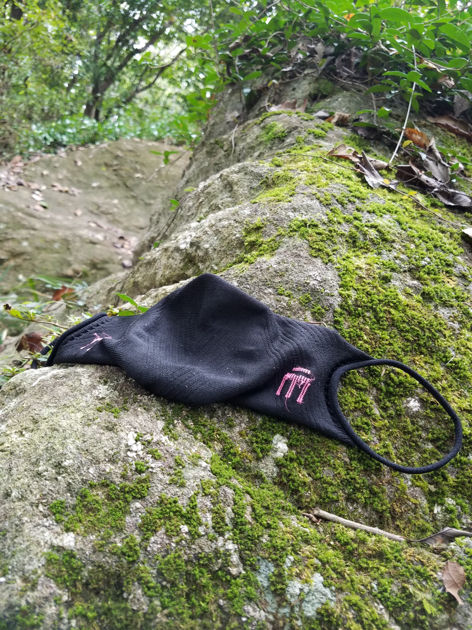 久しぶりの天狗 の里トレ 愛宕山 難台山頂ピストン 編 茨城百名山 バーバラさんの加波山 吾国山 難台山の活動データ Yamap ヤマップ