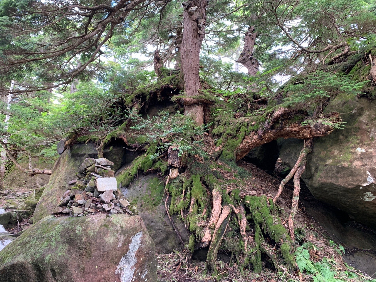 蓬莱境&蓬莱沼 / 黒猫さんの八幡平・源太森・安比岳の活動データ YAMAP / ヤマップ