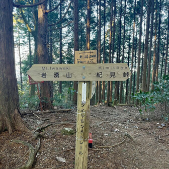 岩湧山・一徳防山・三石山 バテバテでなんとかダイトレまで登ってきました