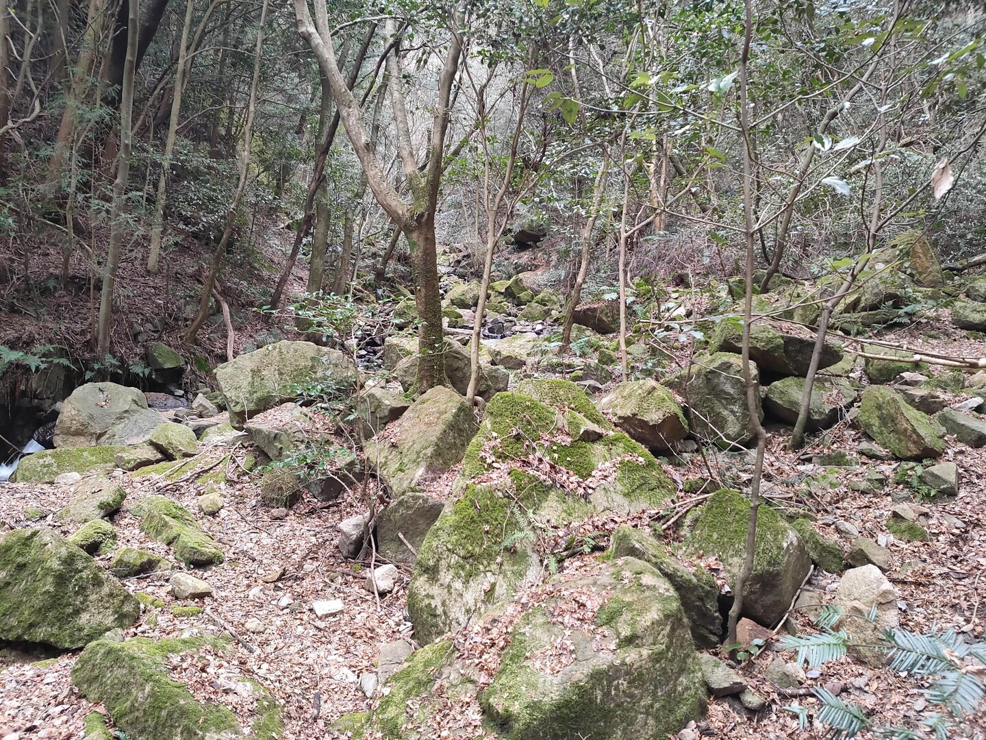 西山谷、大月地獄谷、五助谷の写真