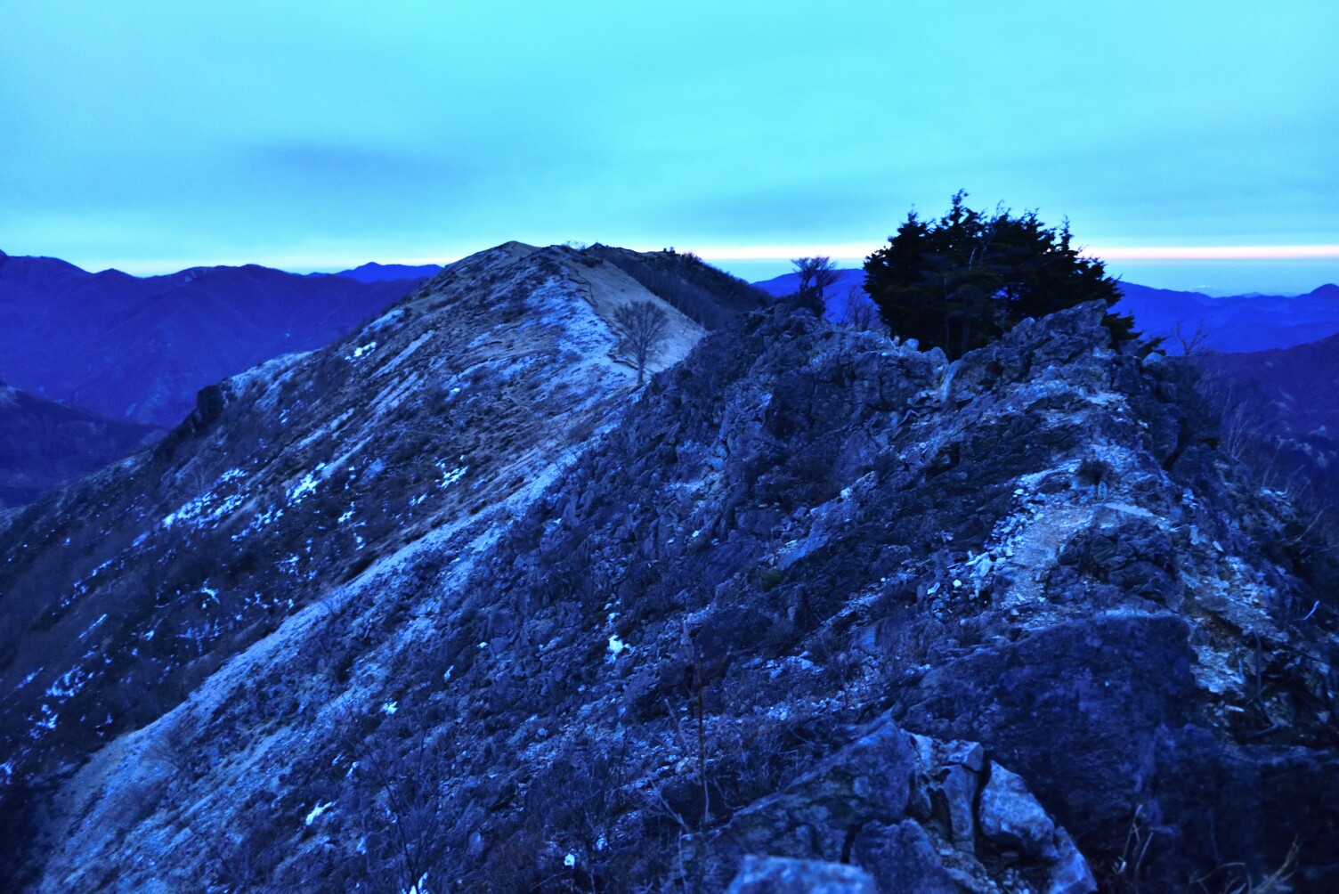 やだかっこいい 孤高のブナを一目見に かるもーさんの皇海山 袈裟丸山 庚申山の活動データ Yamap ヤマップ