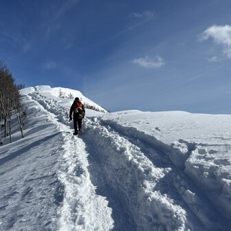 ユーザーsuperpino28