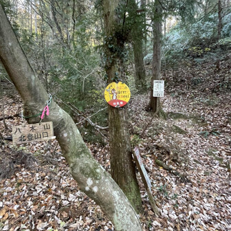 各務原アルプス（関南アルプス）・八木三山 無事下山