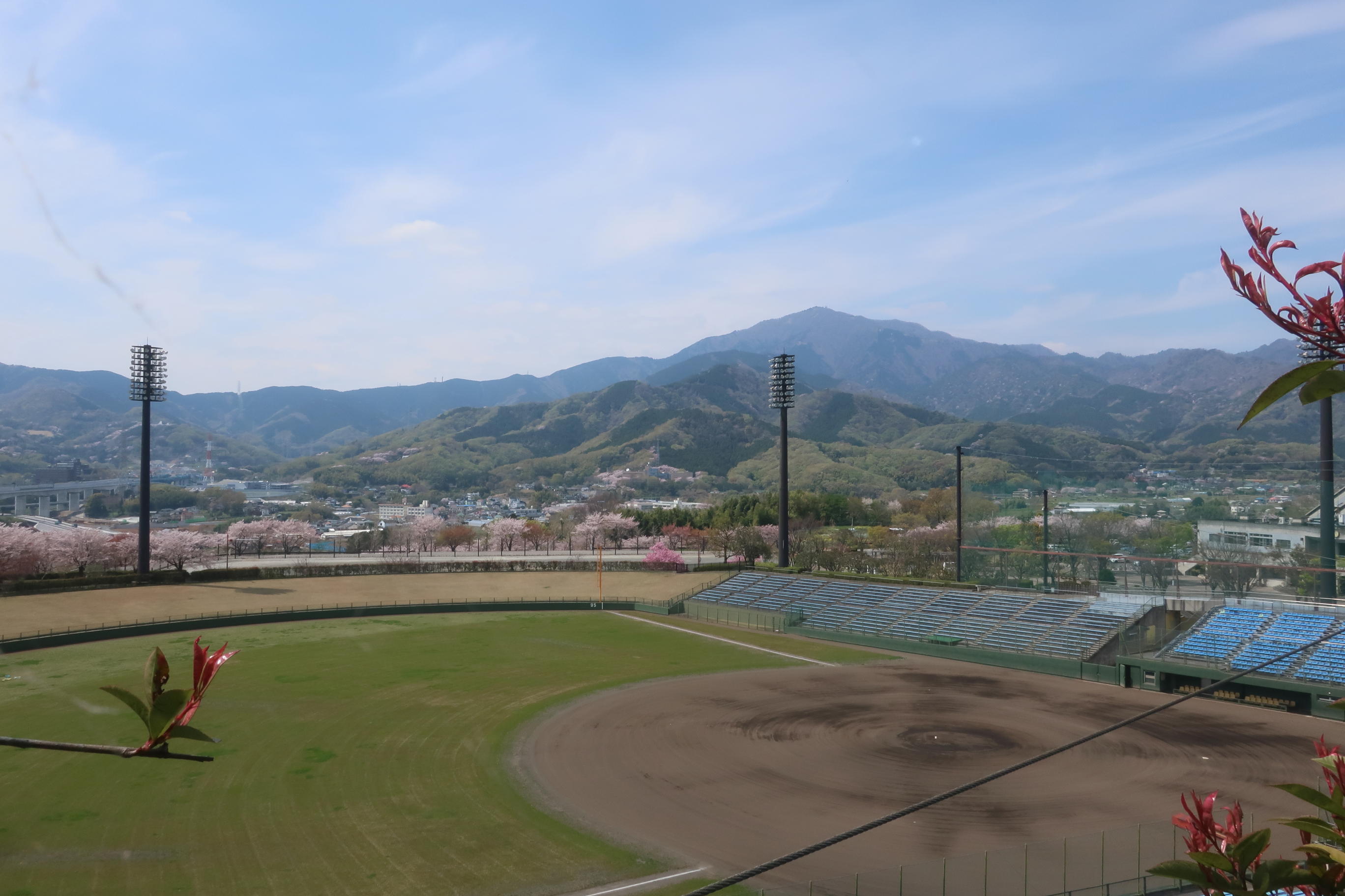伊勢原市総合運動公園 桜 ちょっと寄り道 金子和広さんの大山の活動データ Yamap ヤマップ