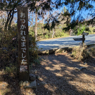 天城山は
花の百名山🌸

いつか
シャクナゲや
ツツジの花期に
訪れたい

ゆっくりと
