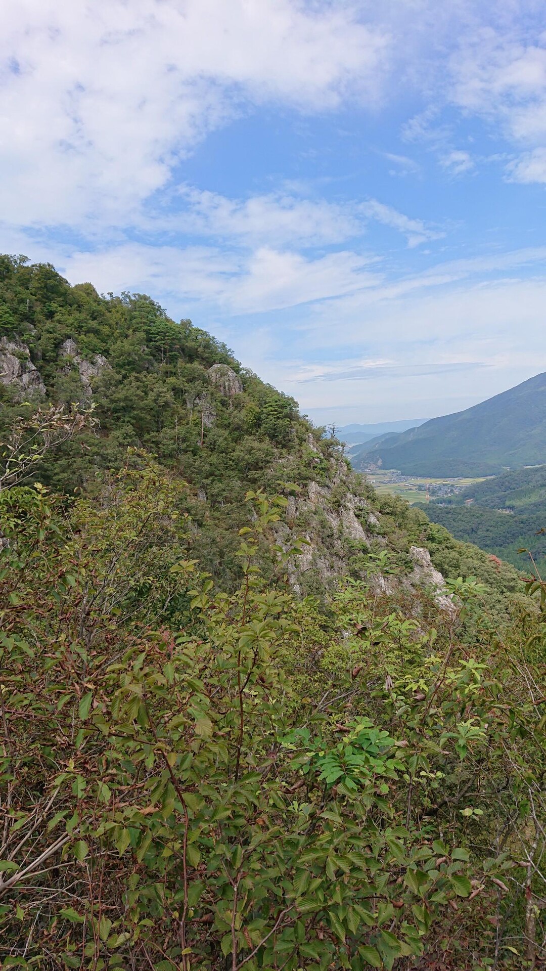 杣山 / こいちゃさんの杣山の活動データ YAMAP / ヤマップ