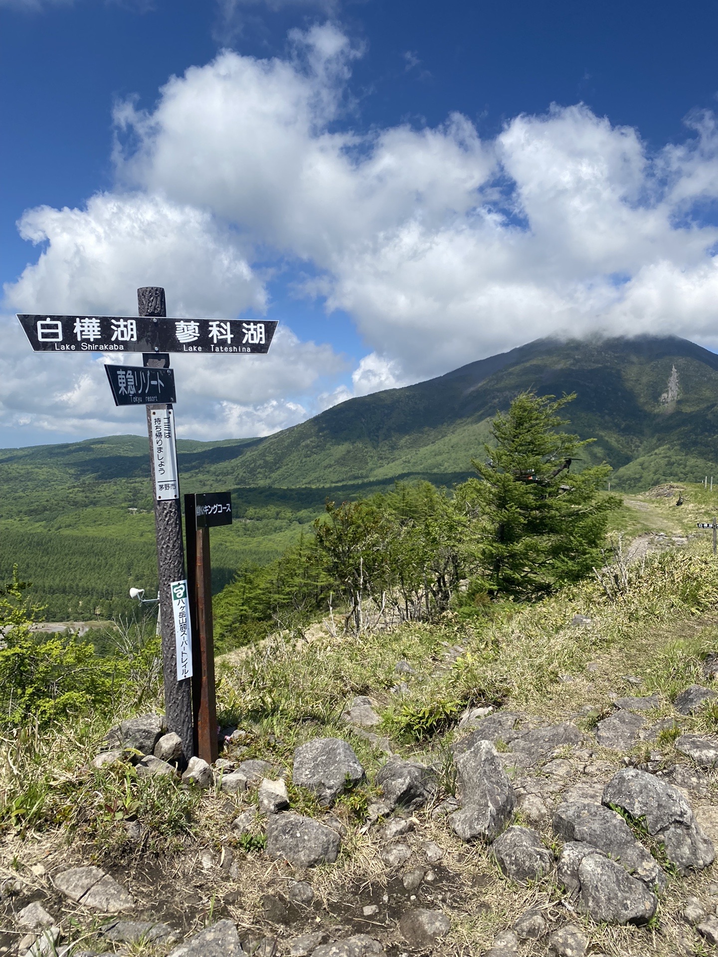 2日前に蓼科山頂から見た八子ヶ峰 未踏 に行ってみた 蓼さんの蓼科山 横岳 縞枯山の活動データ Yamap ヤマップ