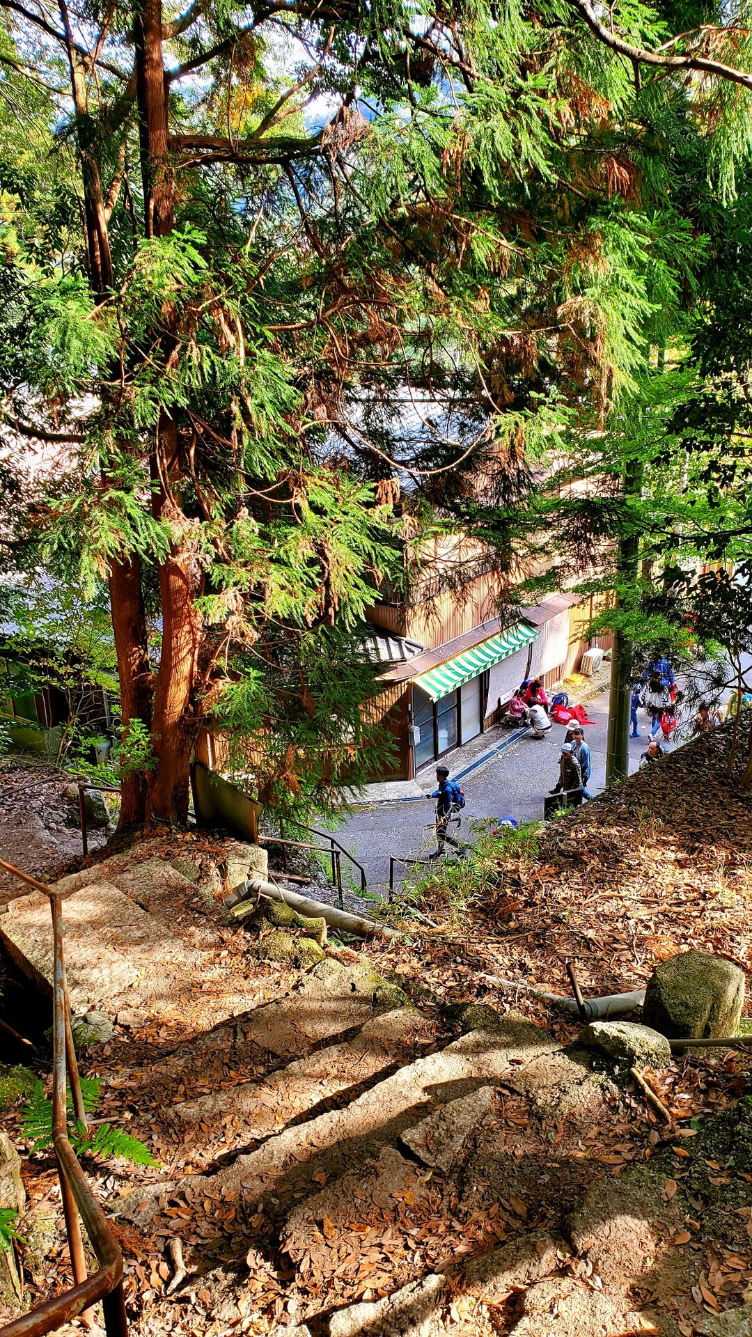 御在所岳 登り中道降り裏道 御在所岳 御在所山 雨乞岳の写真67枚目 裏道登山道の一合目が見えてきた Yamap ヤマップ