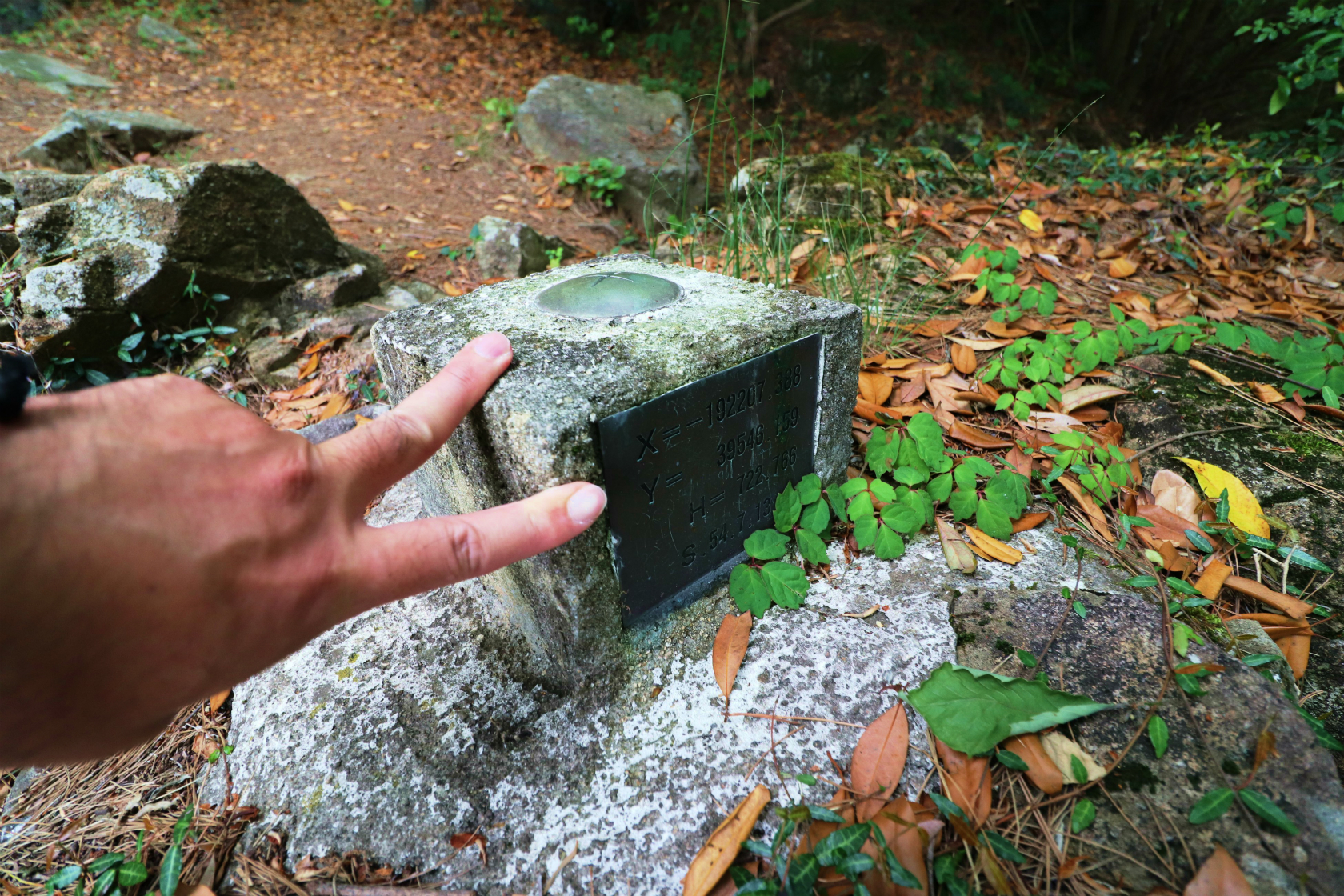 三角点っぽいのを見つけたが、コレは違うね🤭