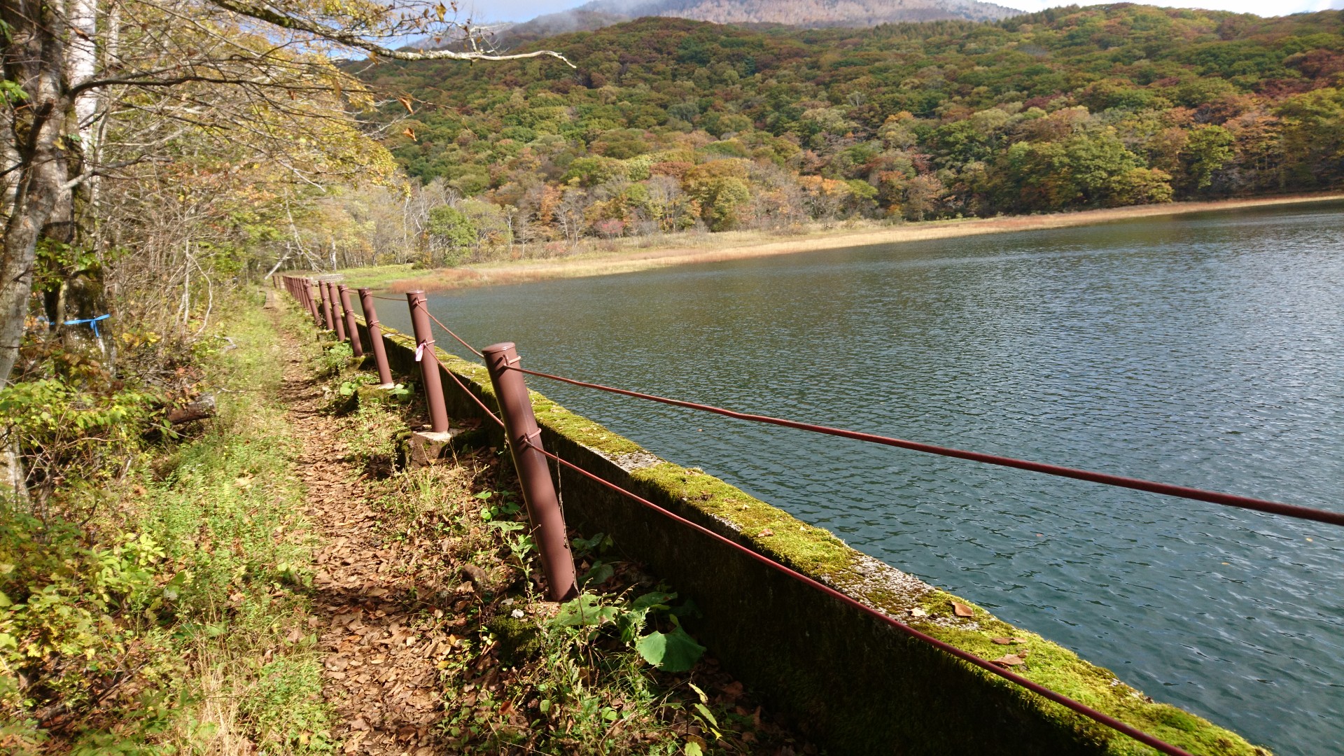黒姫山 戸隠キャンプ場から黒姫駅 / funa19さんの黒姫山の活動日記 