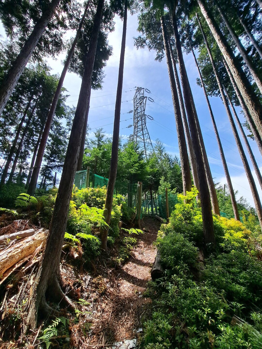 戸口山 / zatracenieさんの戸口山・橿山・菖蒲根山の活動データ | YAMAP / ヤマップ